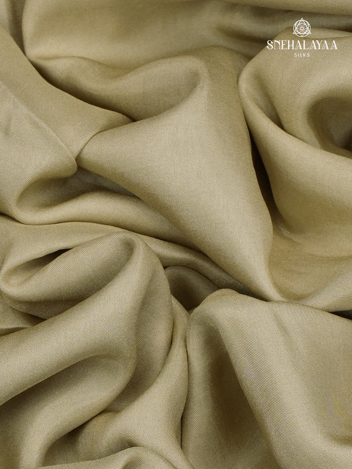 Beige Banaras Silk Saree