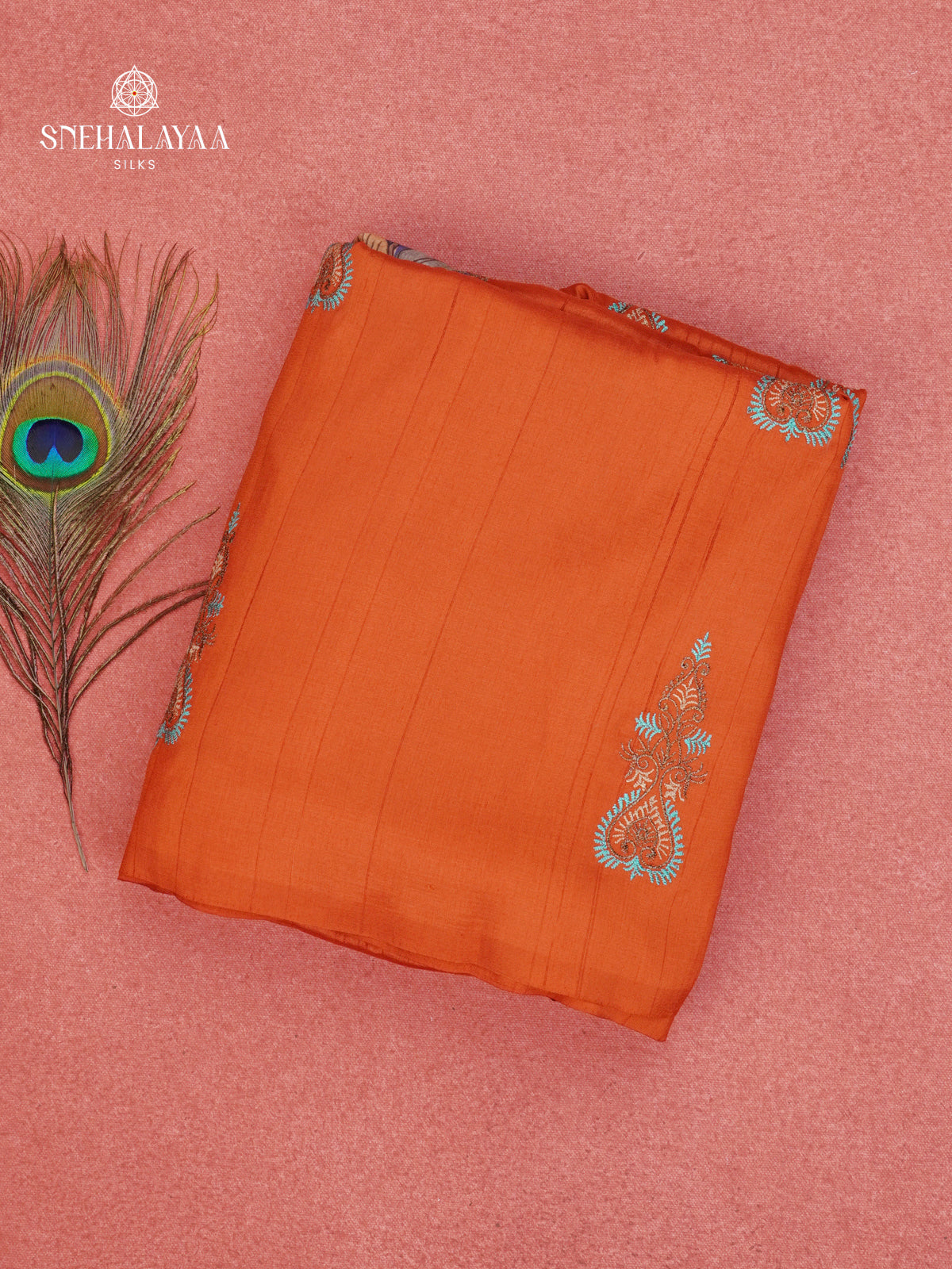 Rust Orange Soft Tussar Embroidery Saree