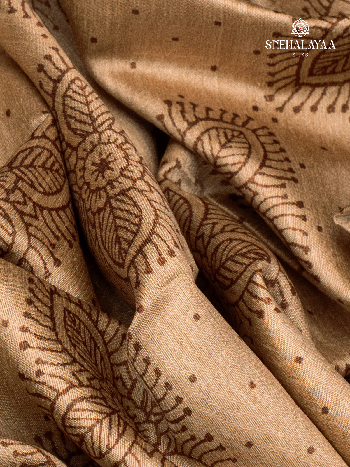 Brown Tussar Saree