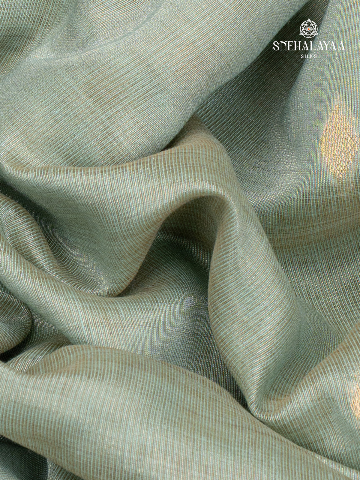 Sea Green Munga Tissue Cotton Saree