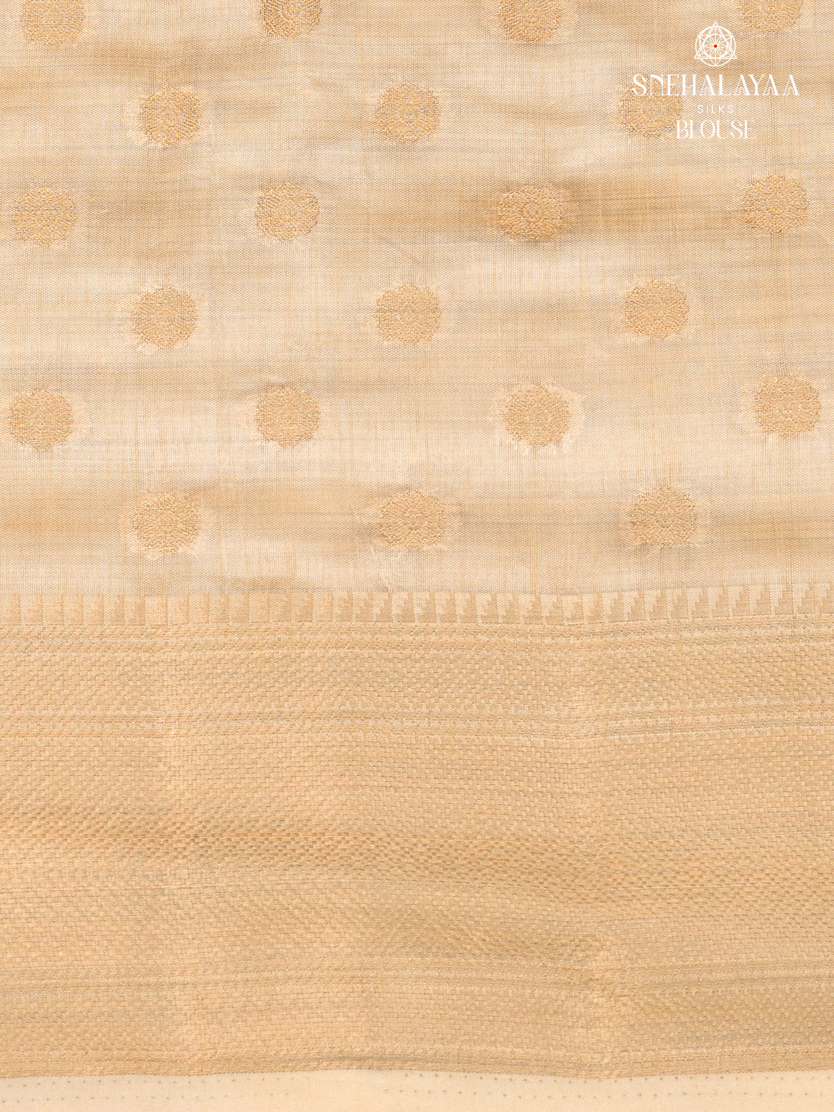 Beige Raw Silk Saree