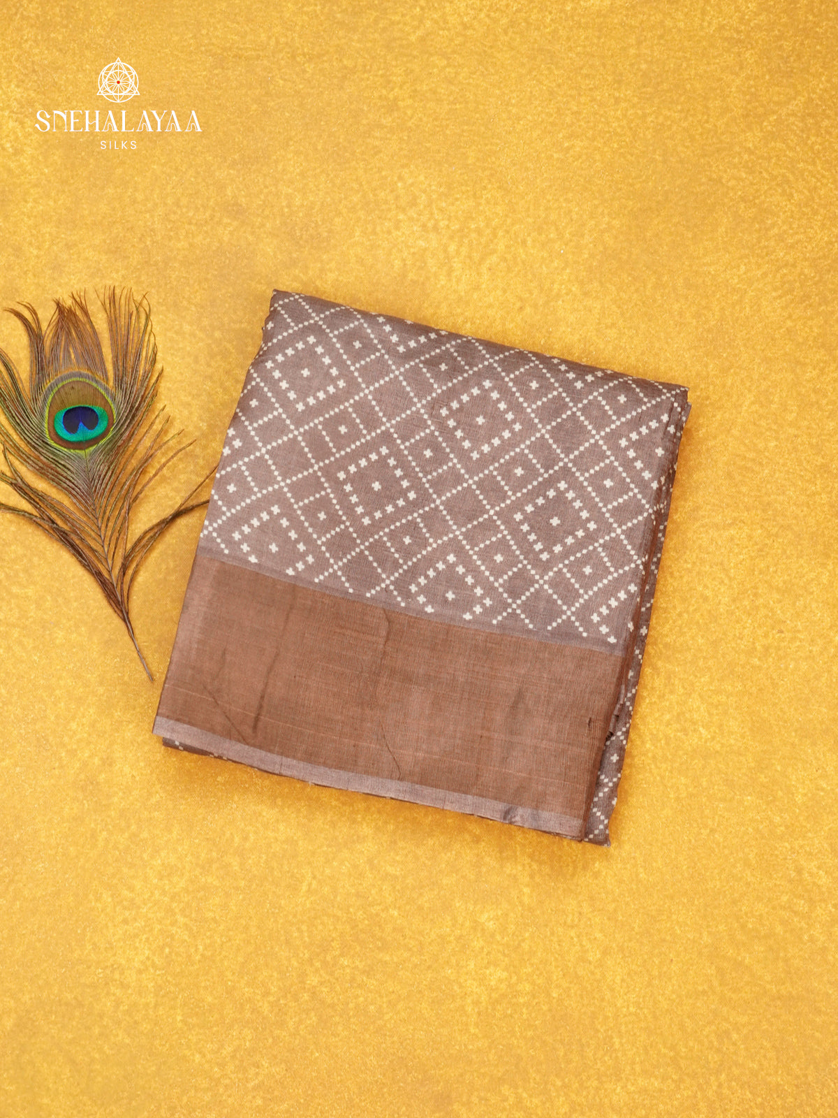 Brown Tussar Saree