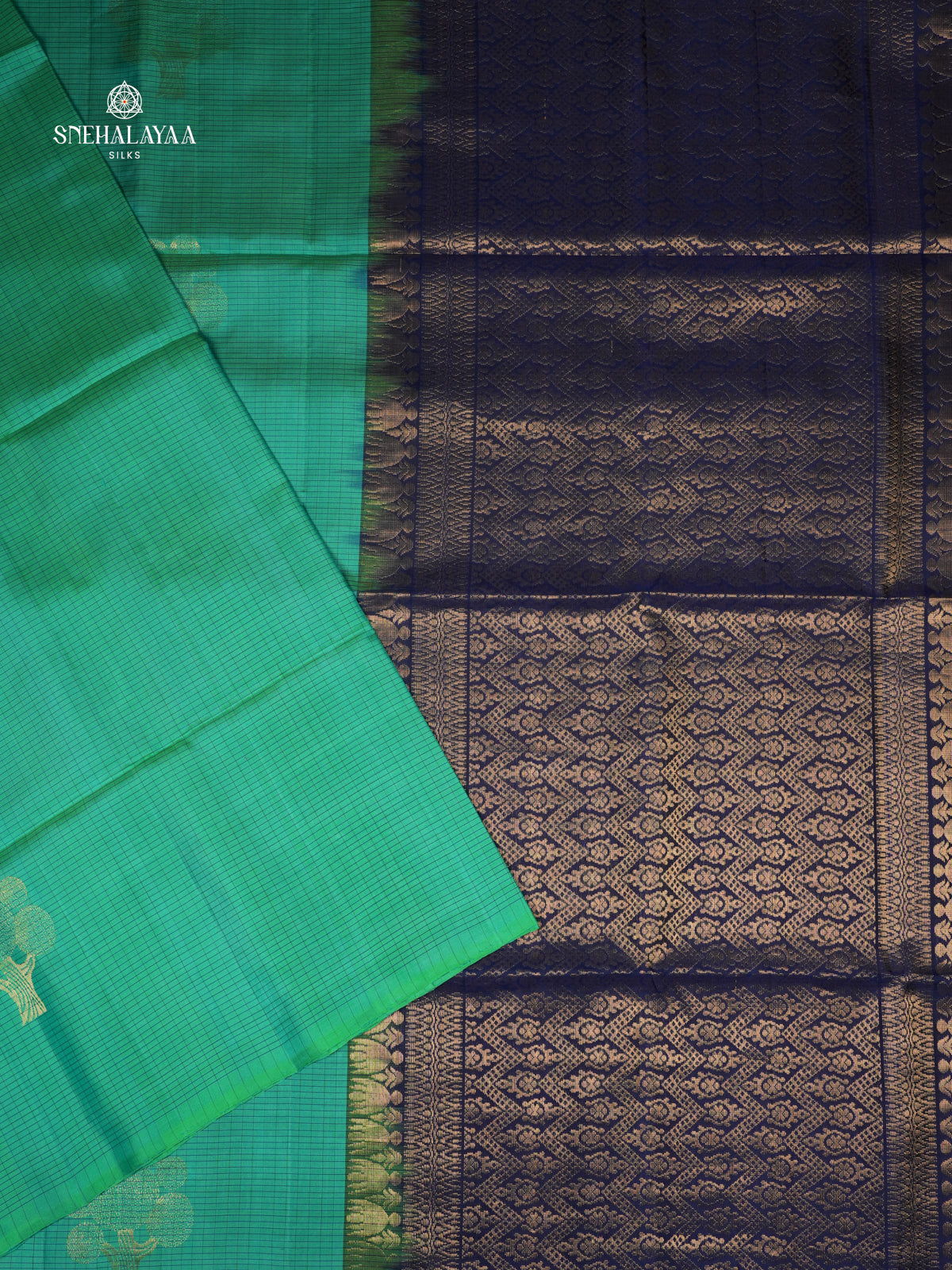 Seafoam Green Borderless Knjivaram Soft Silk Saree