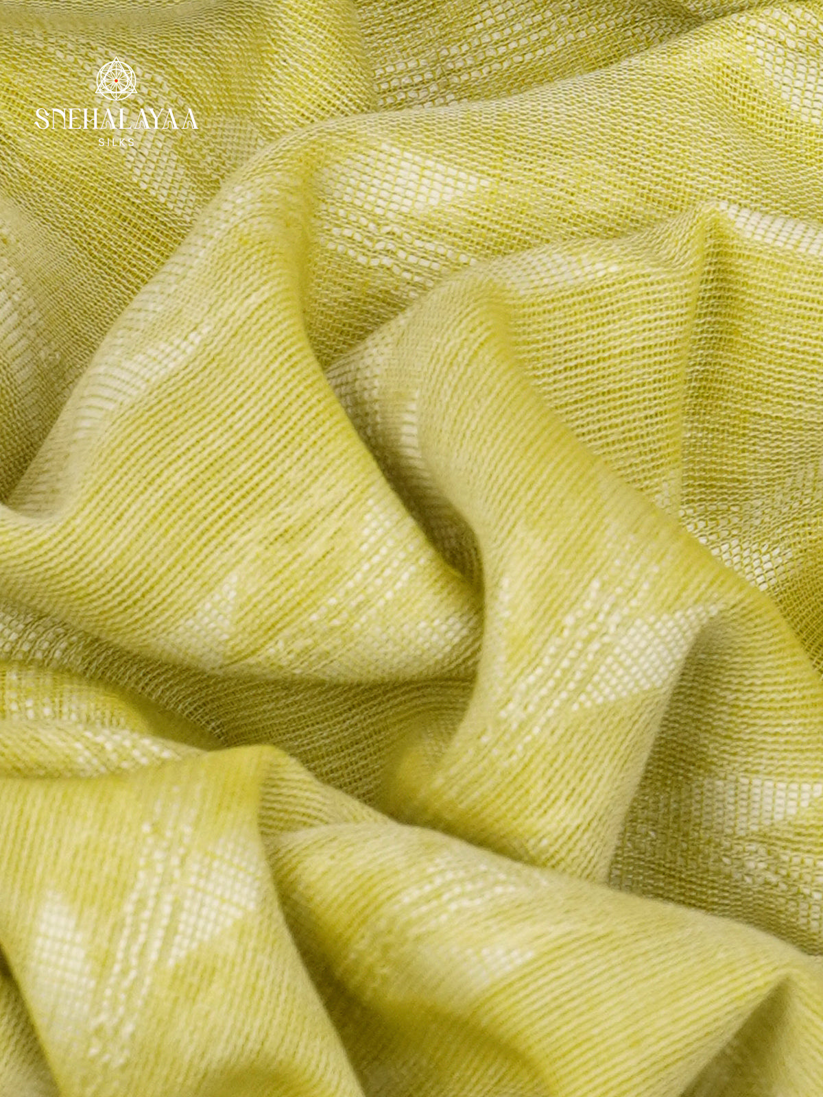 Pista Green Sambalpuri Cotton Saree