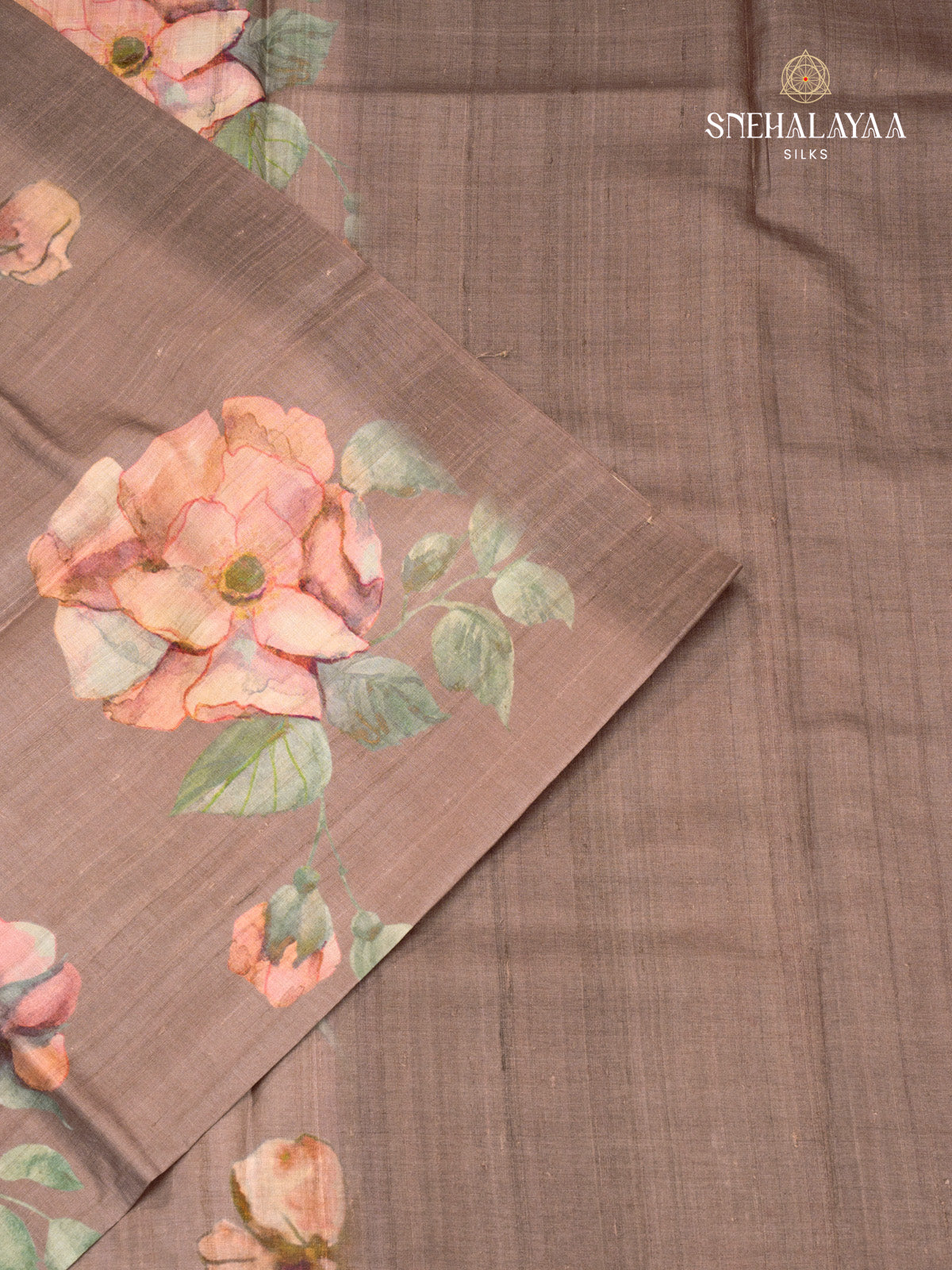 Cocoa Brown Tussar Saree