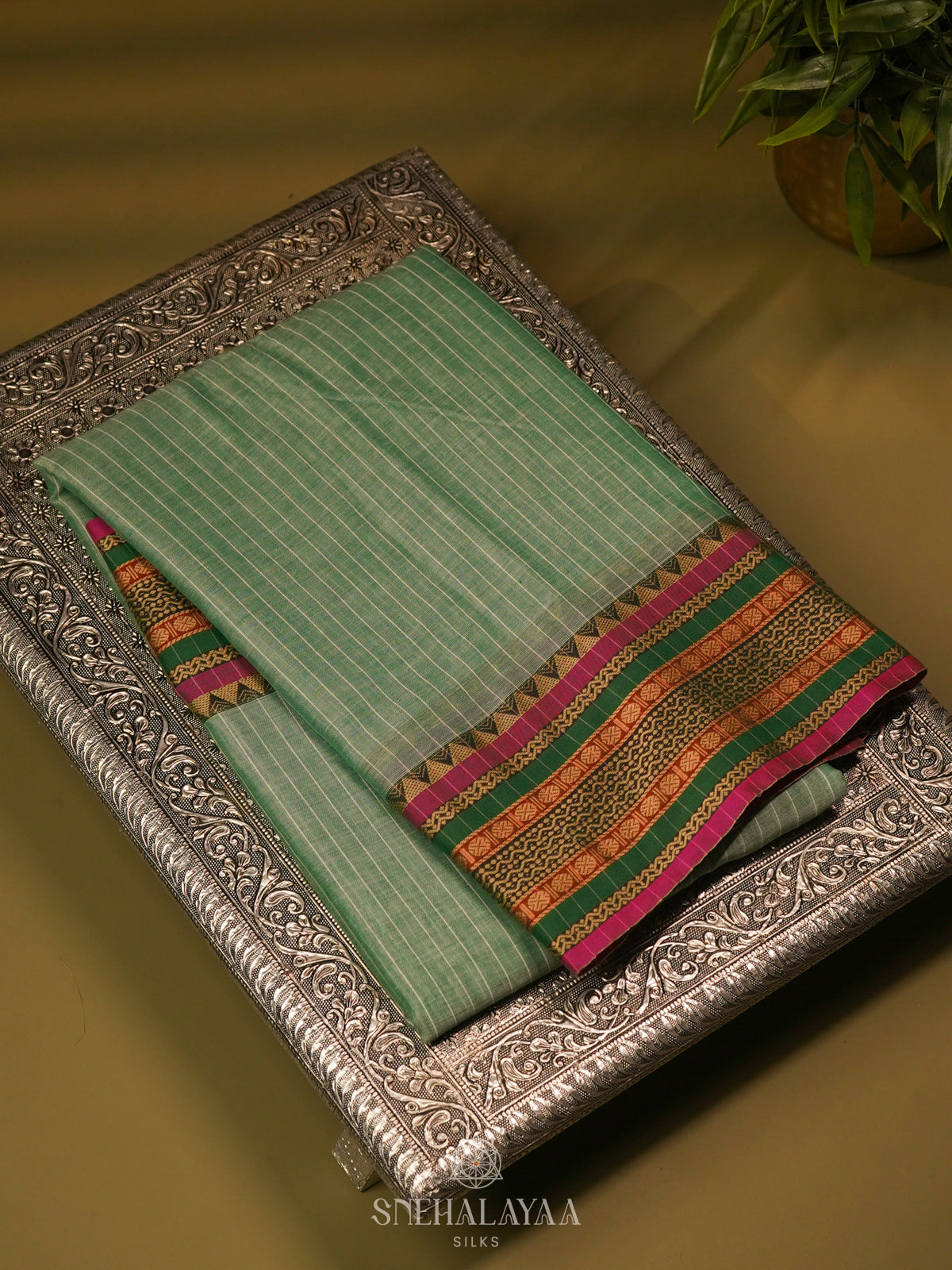 Pale Green Narayanpet Cotton Saree without Blouse