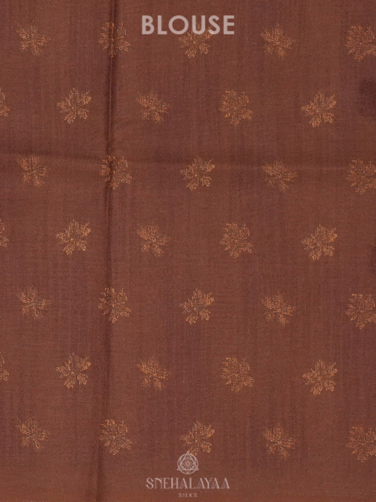 Brown Tussar Saree