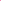 Pink Jaipur Cotton Saree