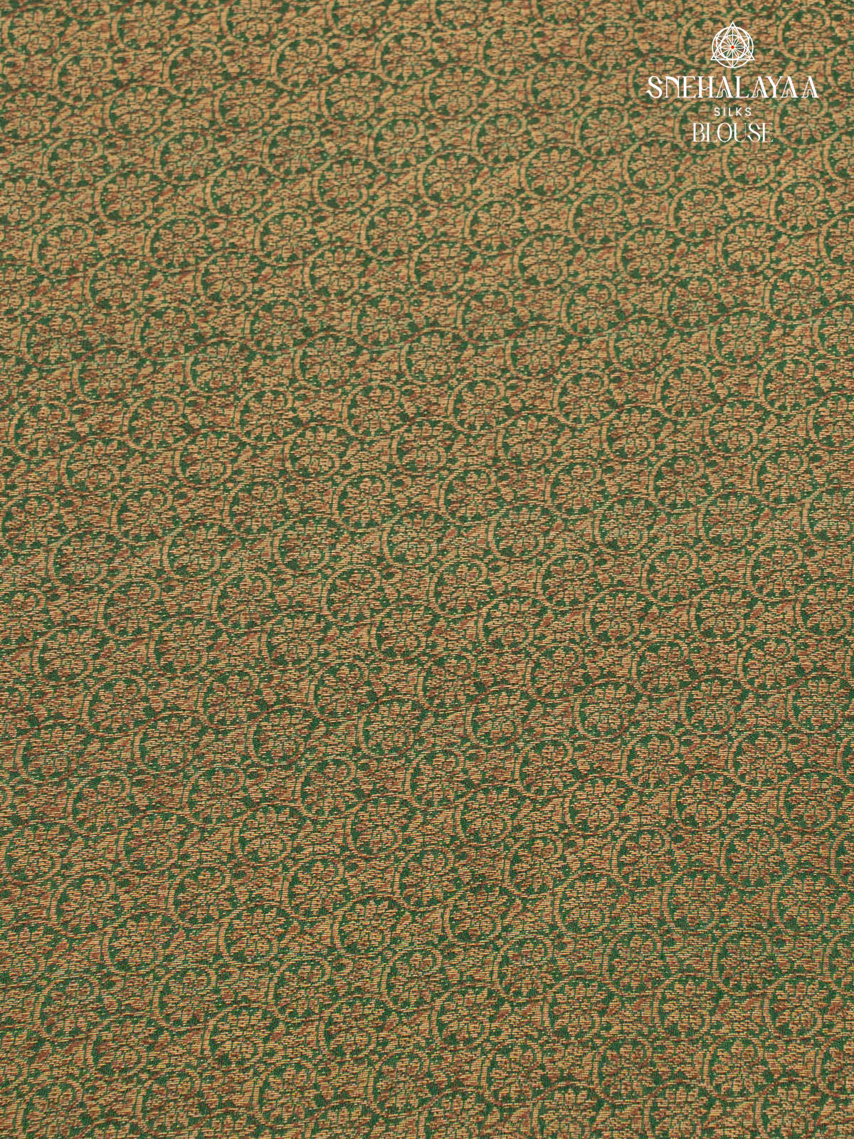 Rust Orange Banaras Jute Saree