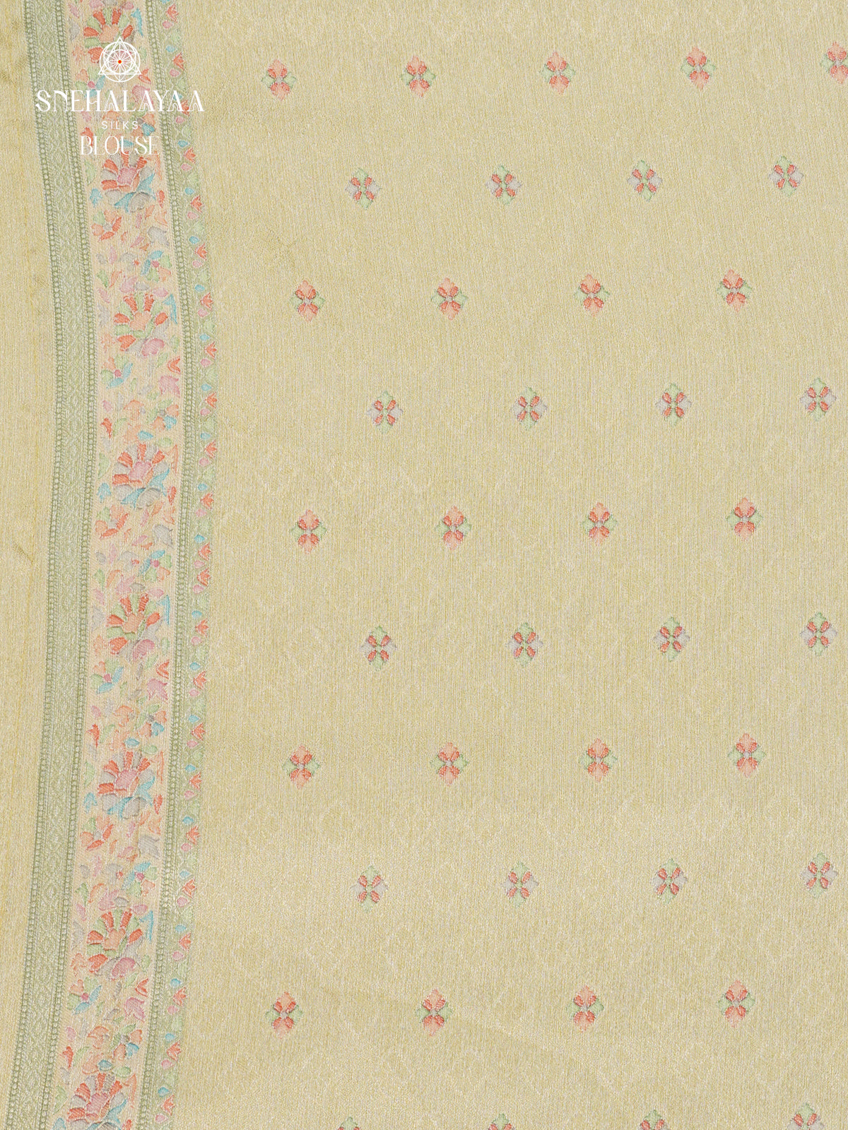 Pale Green Tissue Tussar Saree