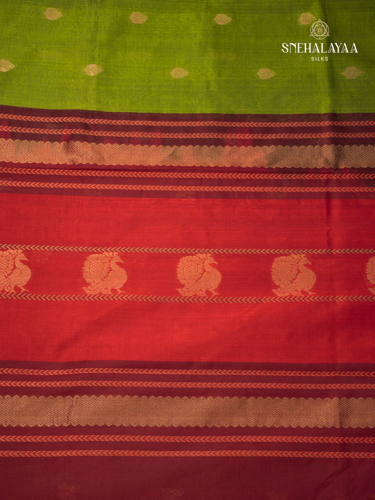 Green Kanchi Silk Cotton Saree