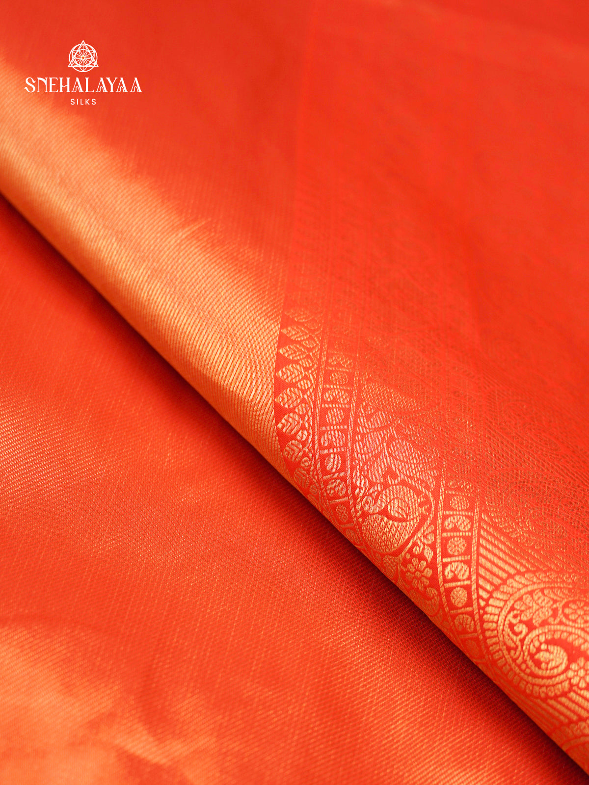 Rust Orange Tissue Paithani Saree