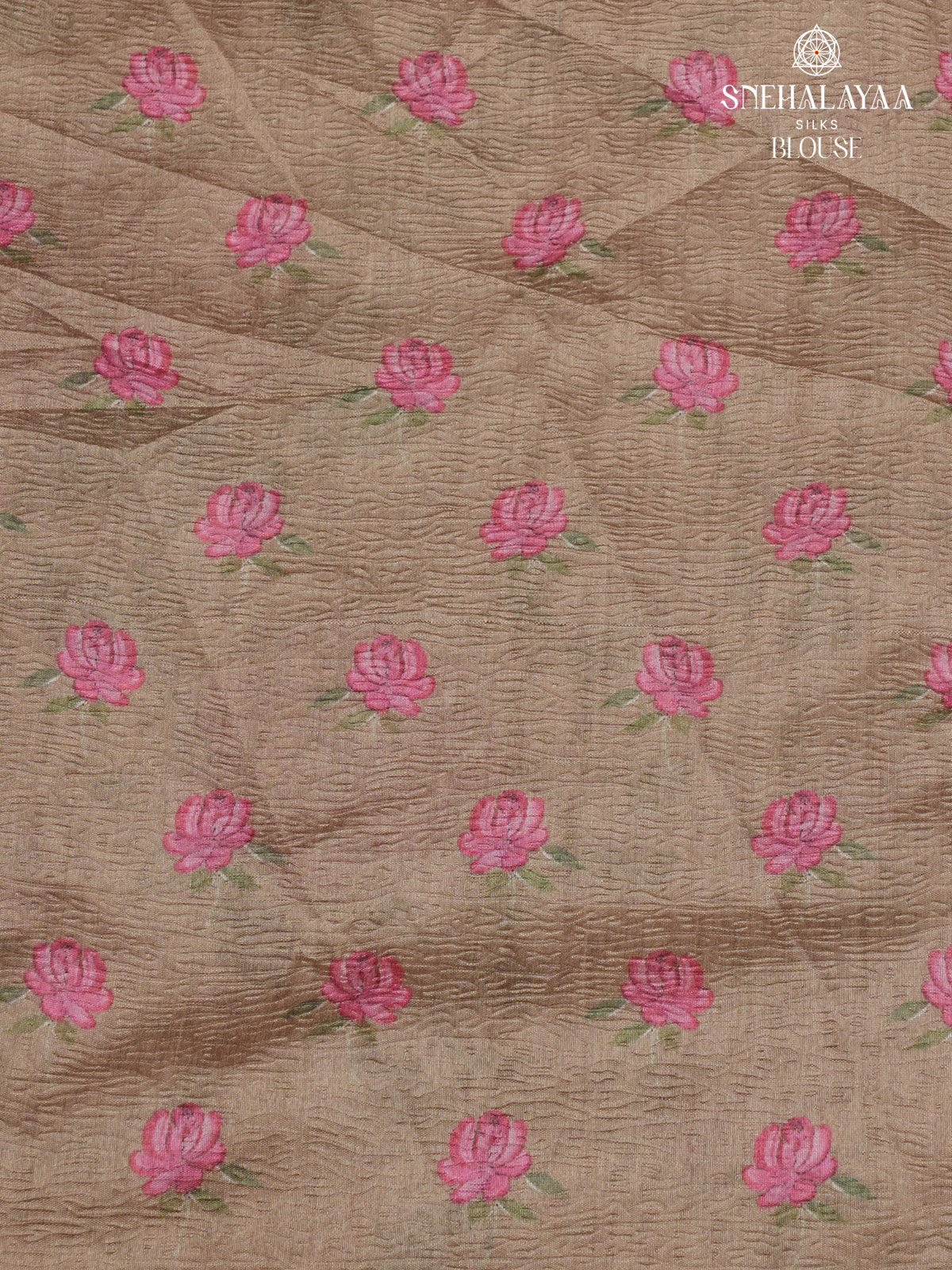 Cream Crush Embroidery Saree