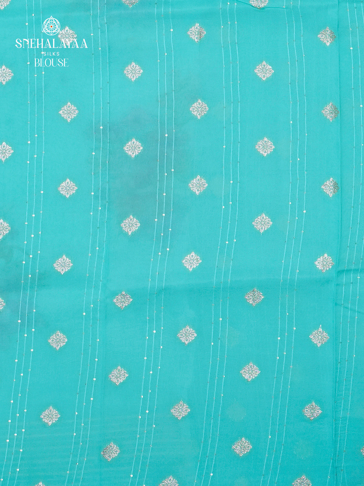 Sky Blue Banaras Dola Silk Saree
