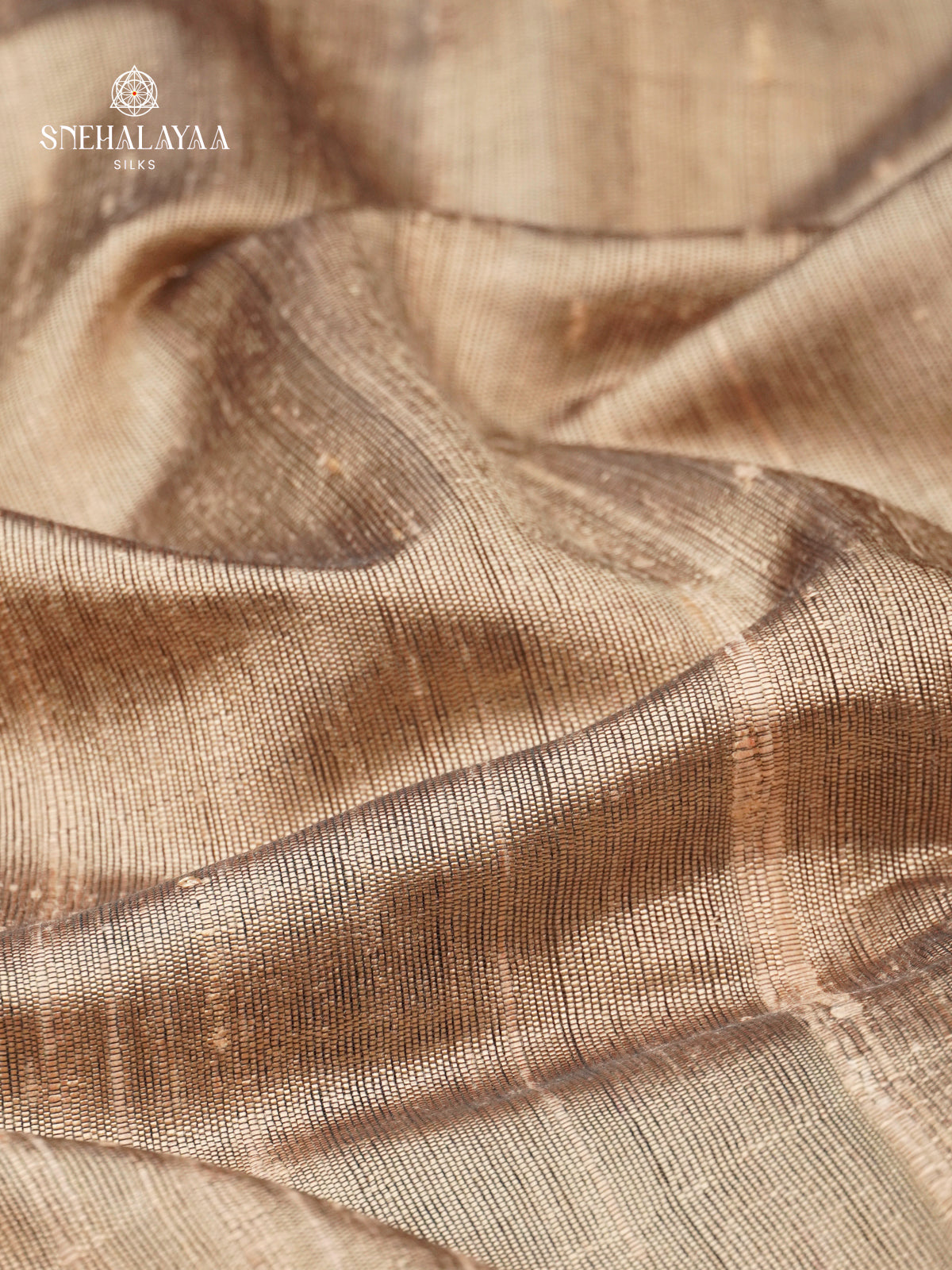 Beige Dupion Silk Saree