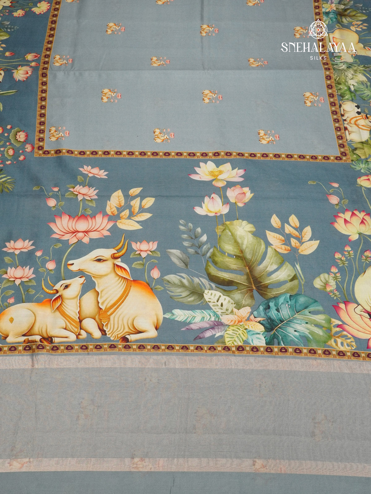 Grey Chiniya Silk Saree