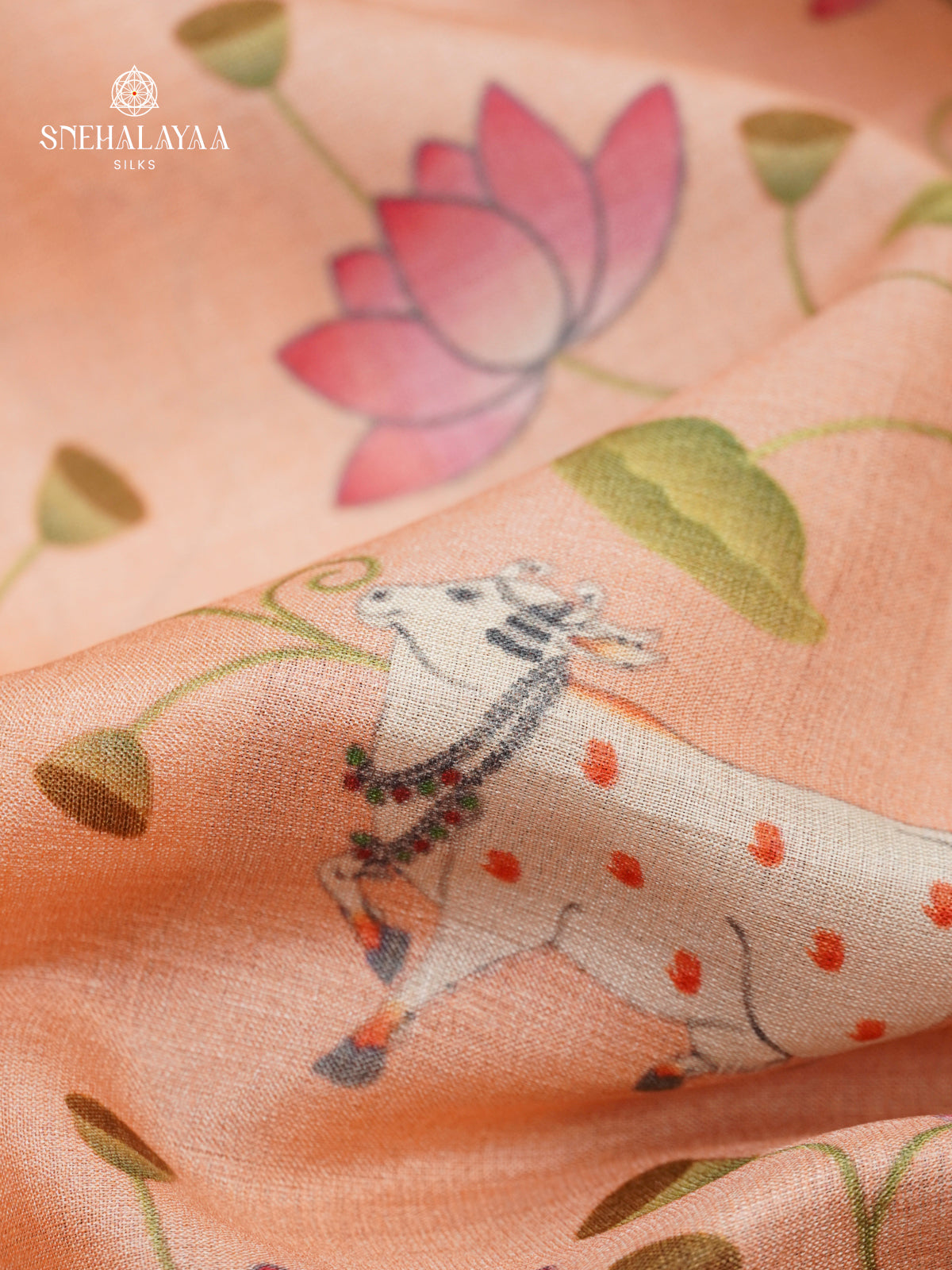 Beige Tussar Saree