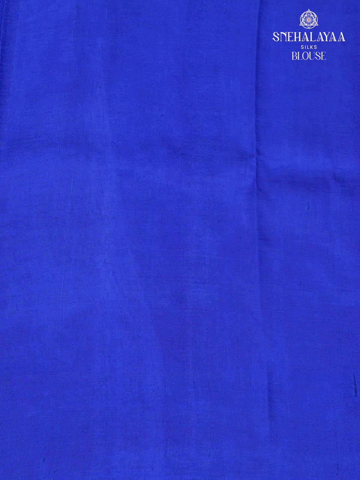 Blue Tussar Silk Saree