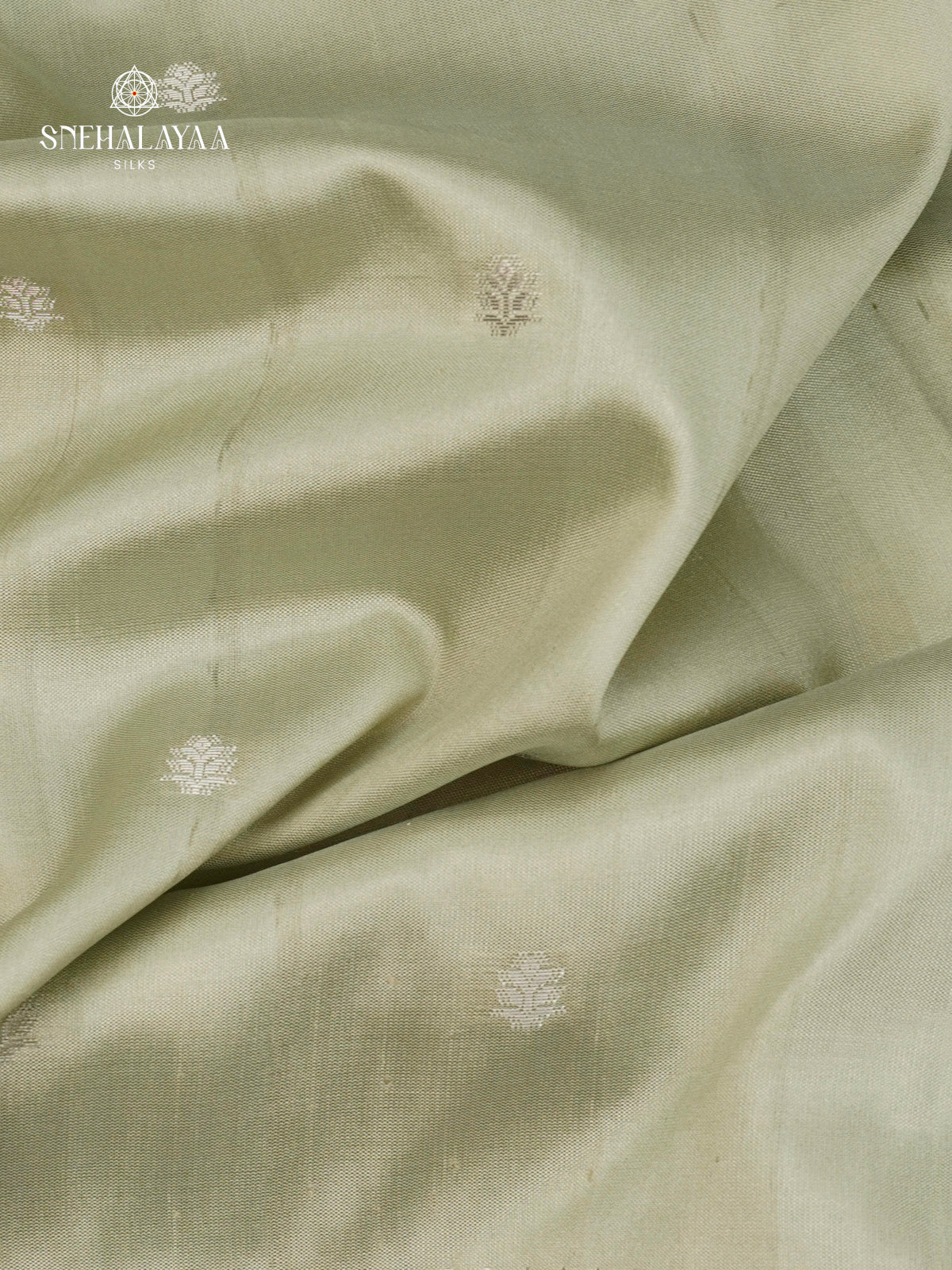 Pale Green Banaras Dola Silk Saree