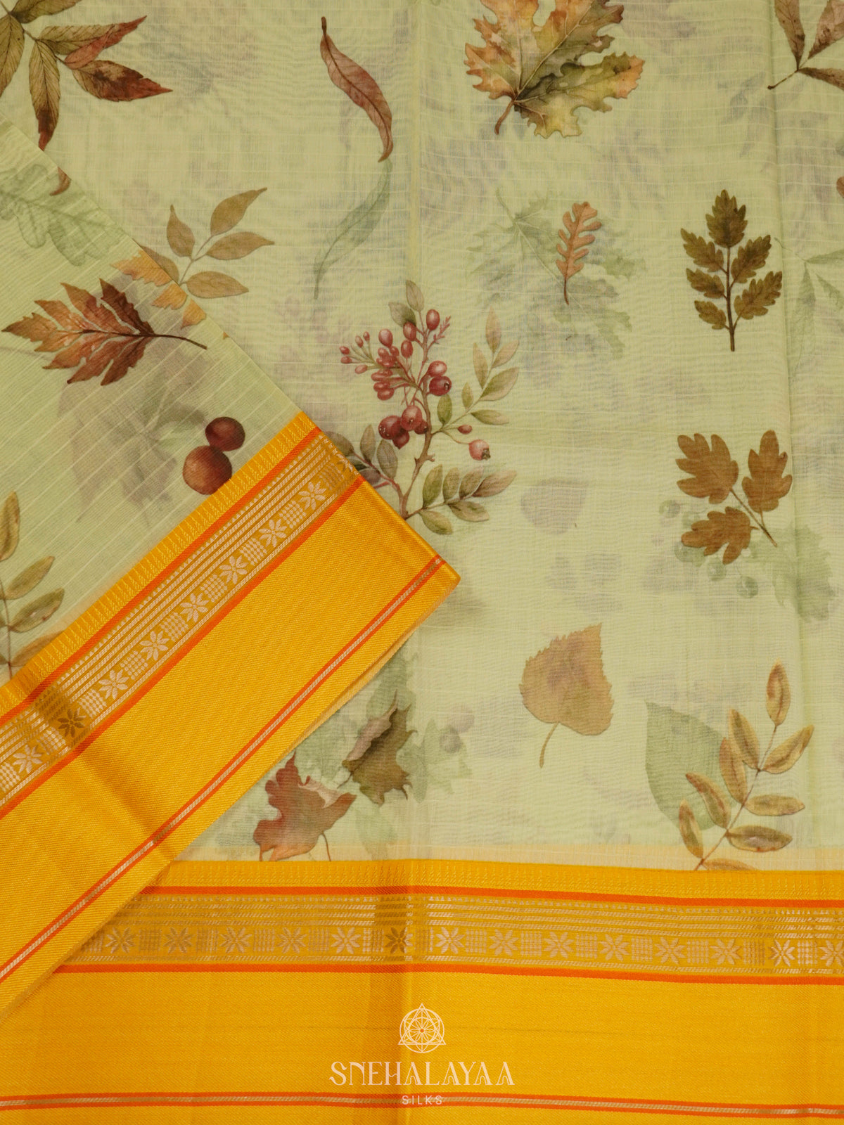 Pale Lime Chanderi Saree