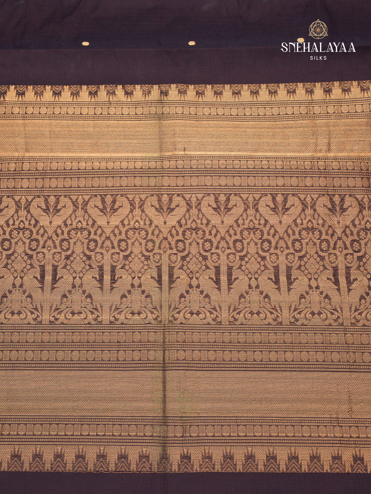 Brown Kanchi Cotton Saree