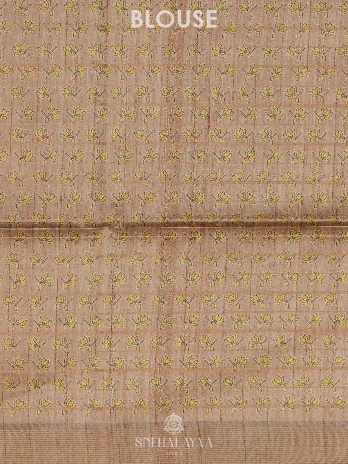 Beige Tussar Saree