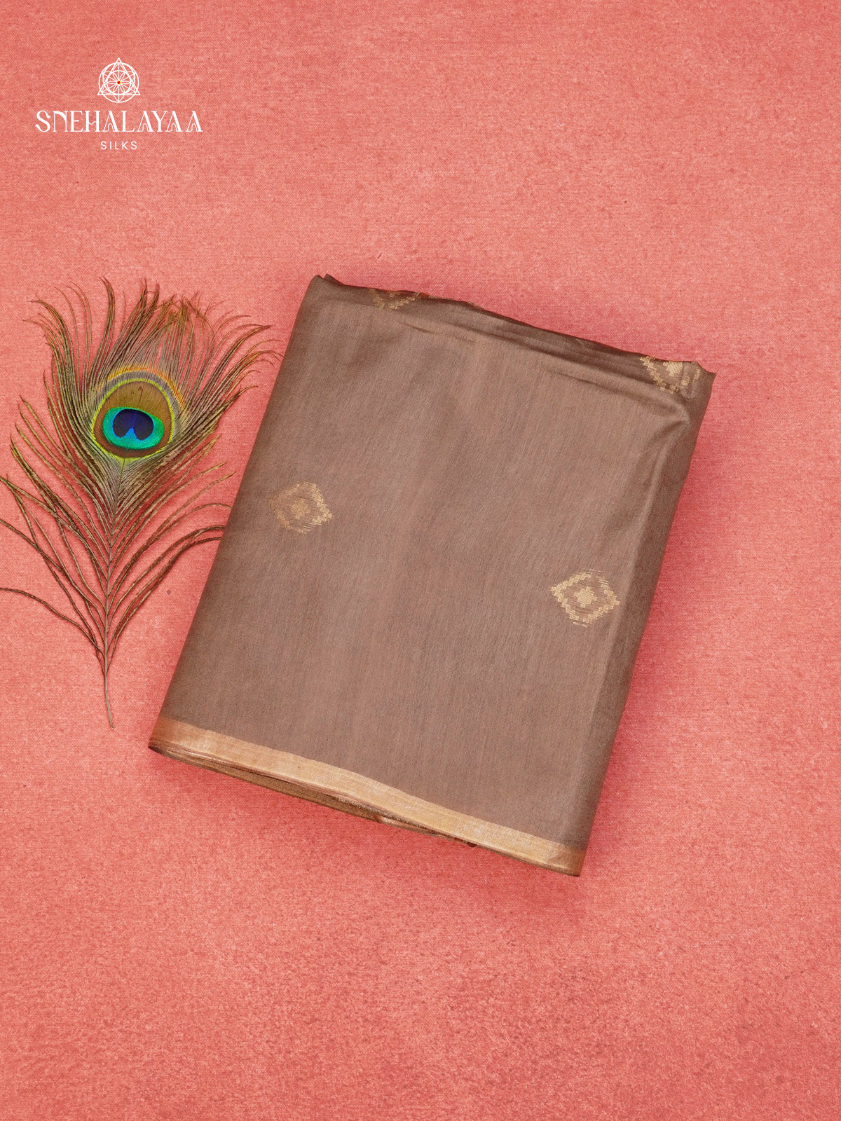Brown Tussar Saree