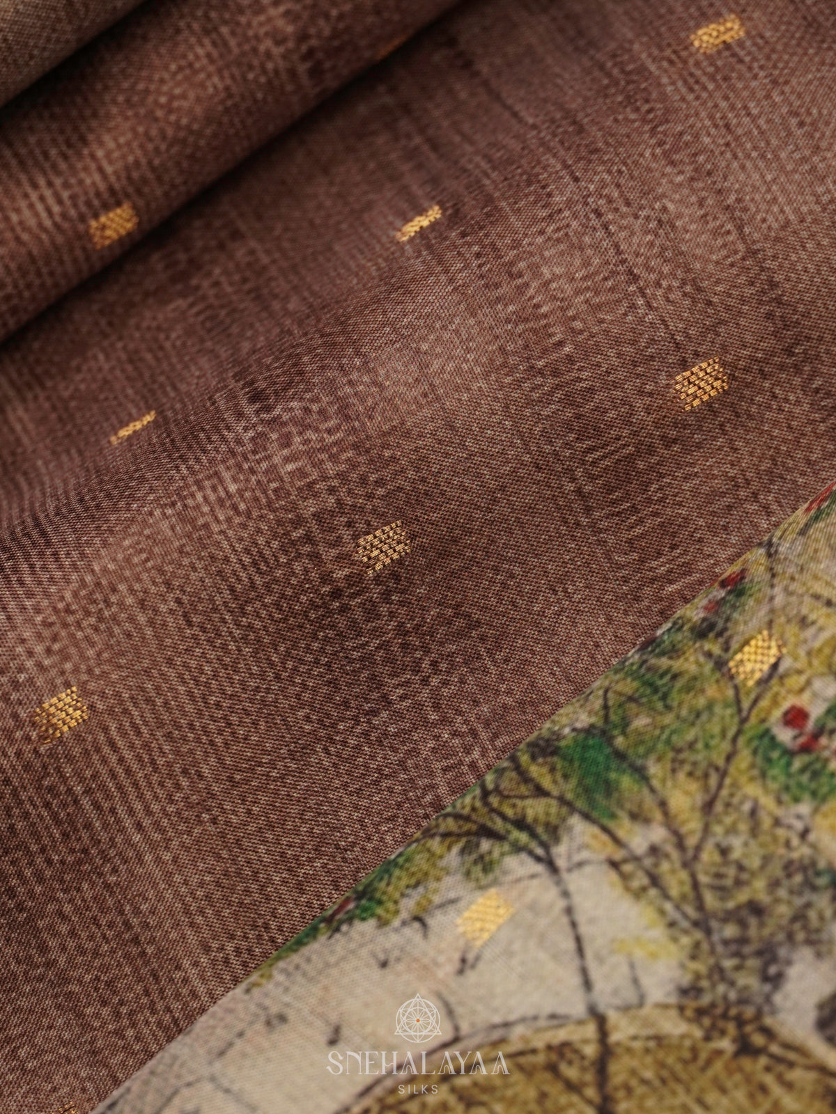 Brown Tussar Saree