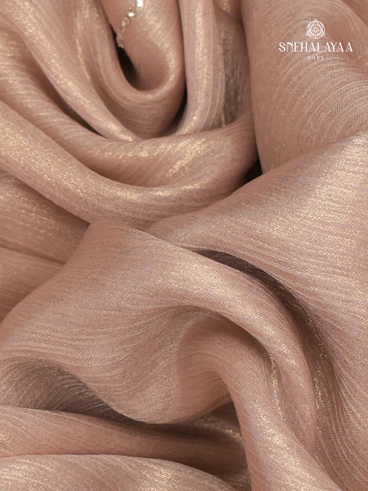 Cream Designer Saree