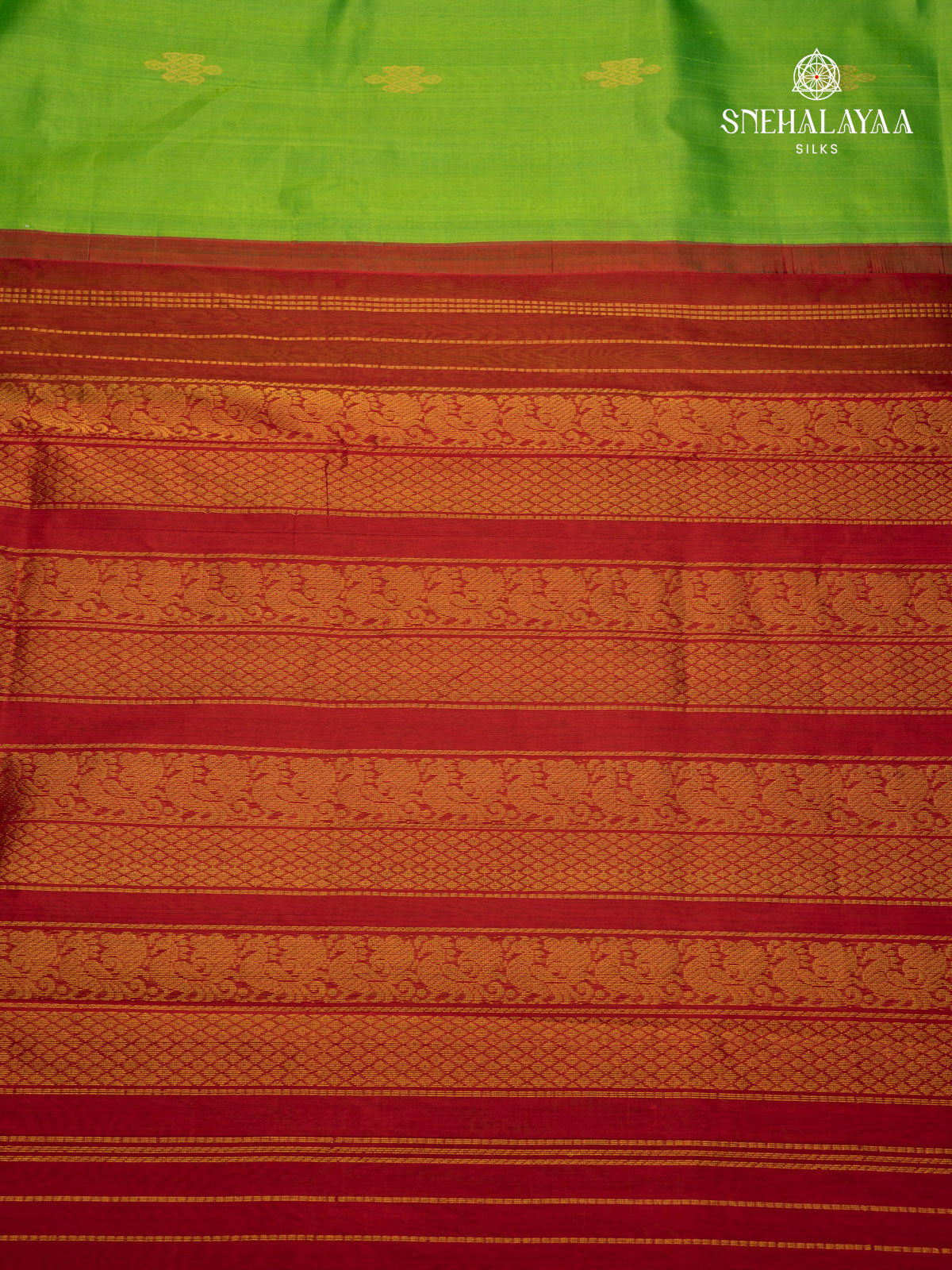 Green Kanchi Silk Cotton Saree