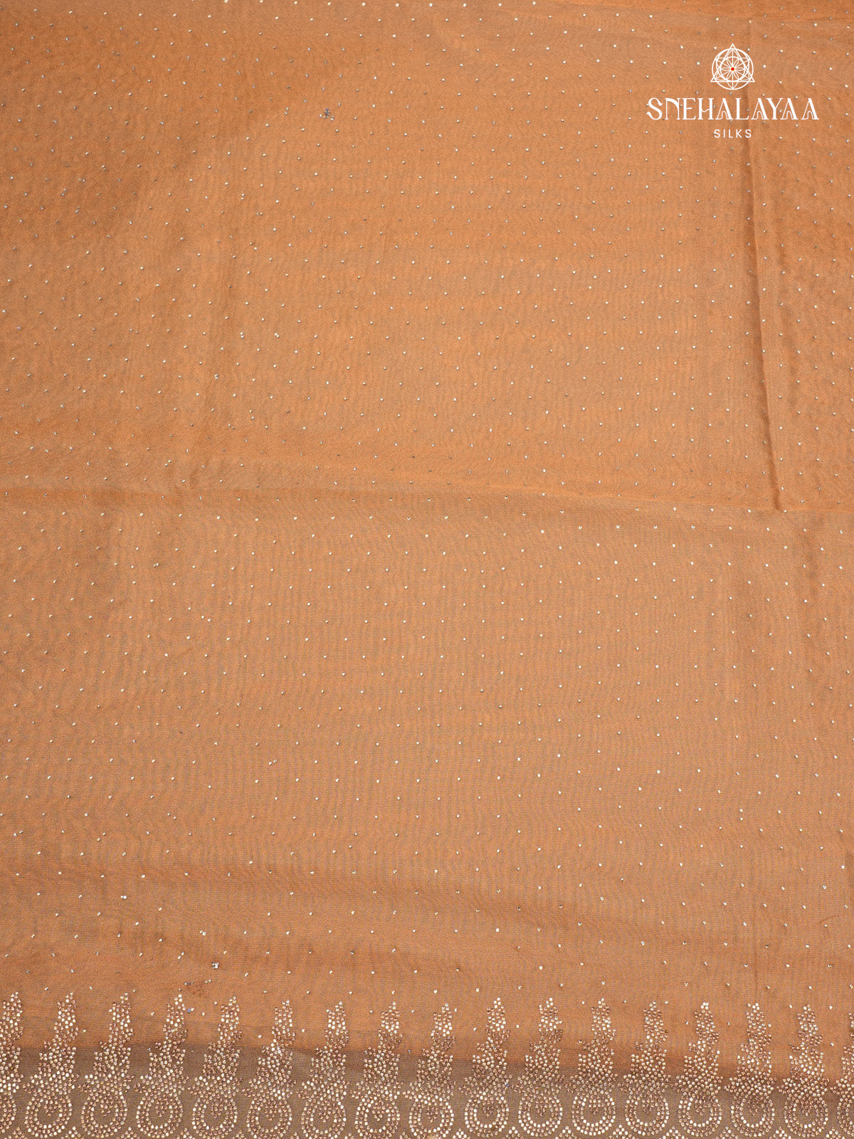 Beige Designer Saree