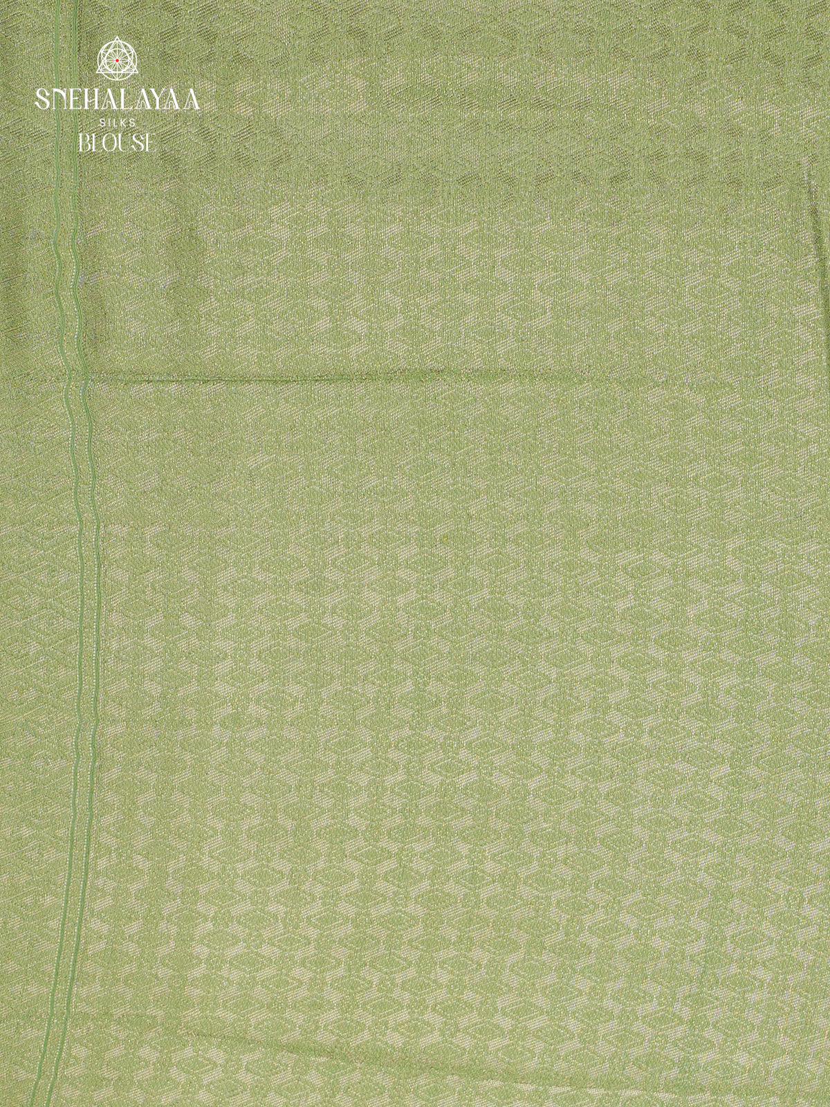 Pista Green Banaras Dola Silk Saree