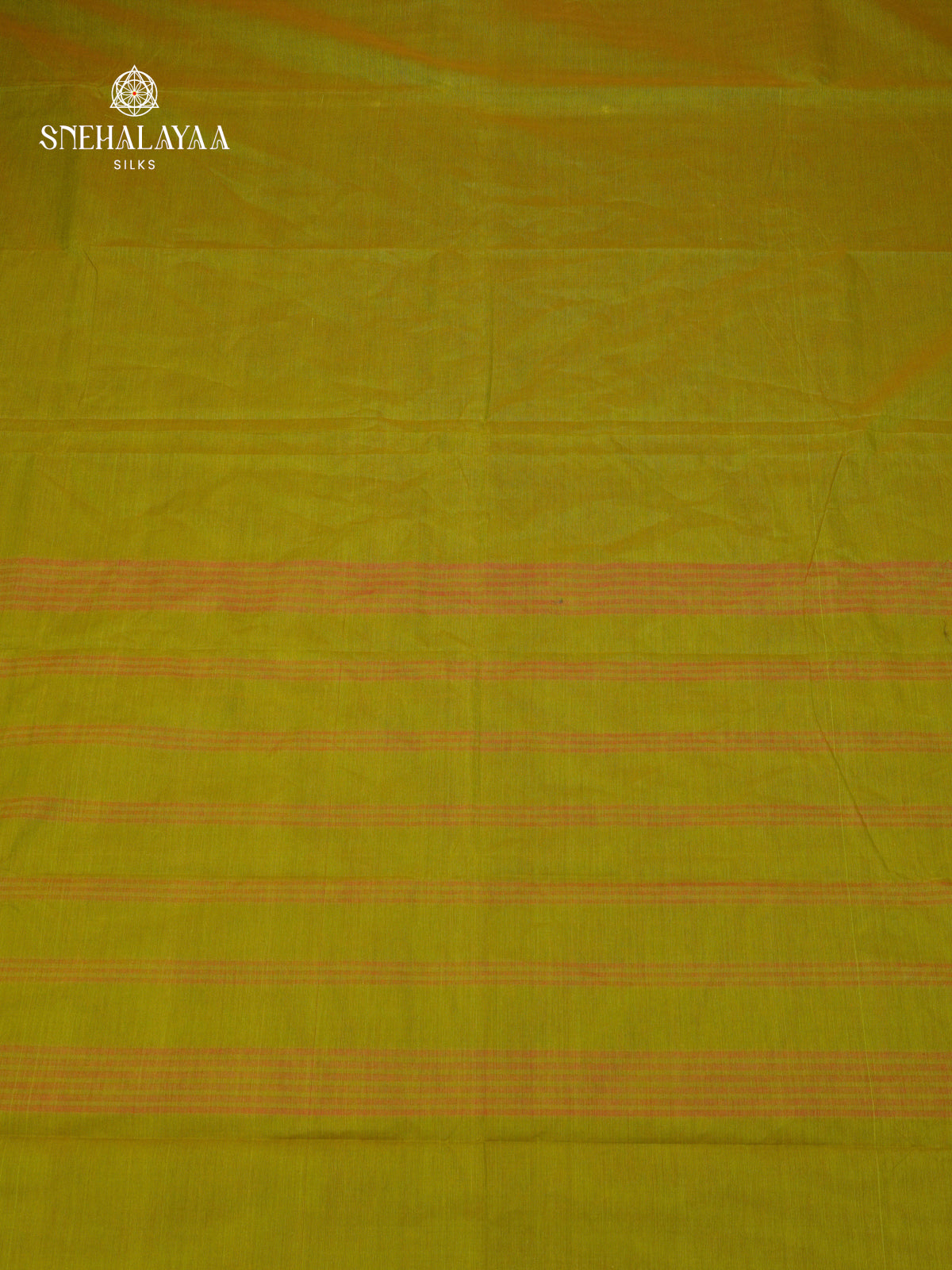 Olive Green Kanchi Cotton Saree with Red & Blue Woven Borders