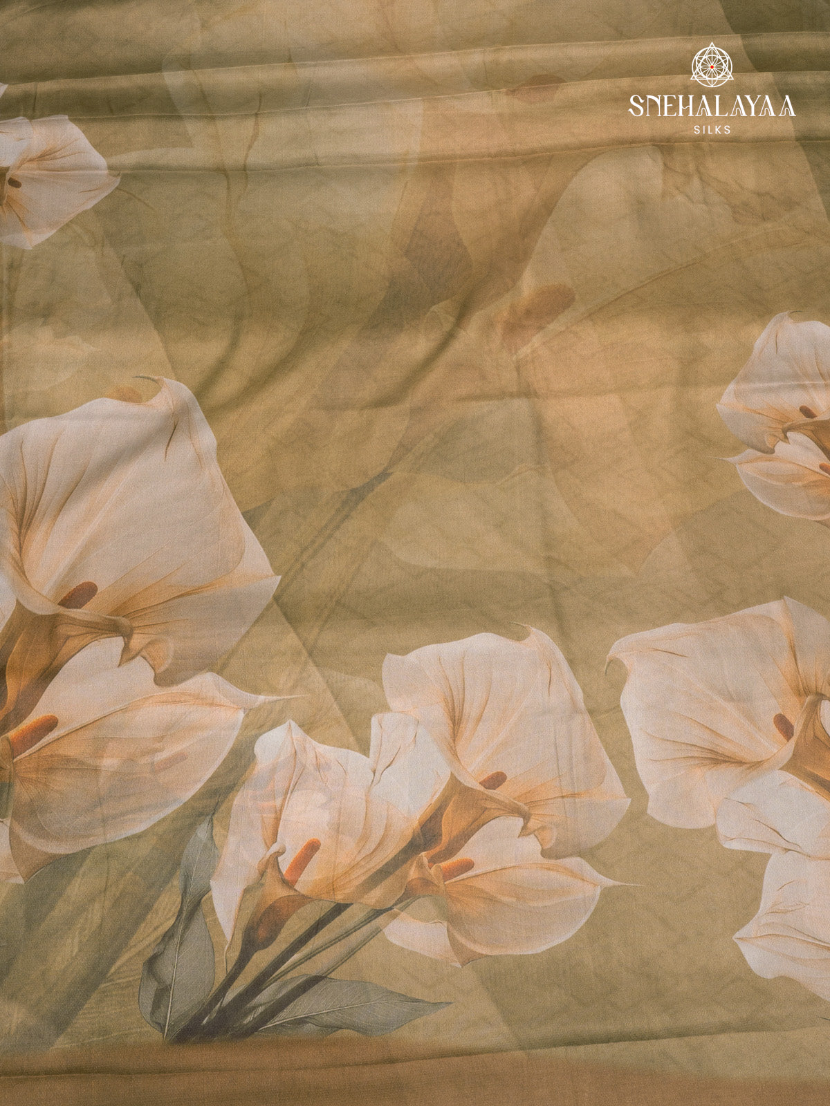 Pale Green Dola Silk Saree