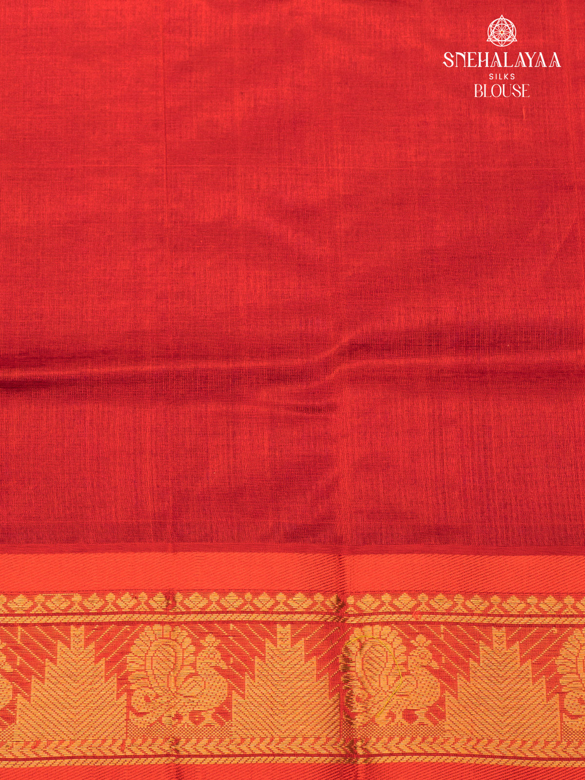 Navy Blue Kanchi Silk Cotton Saree