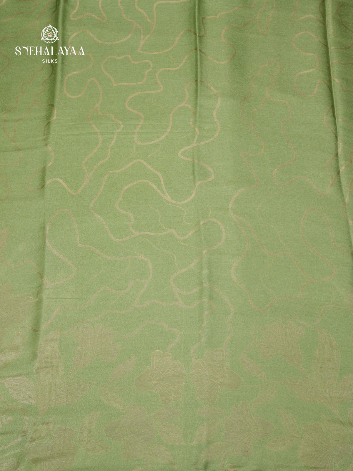Pista Green Banaras Dola Silk Saree