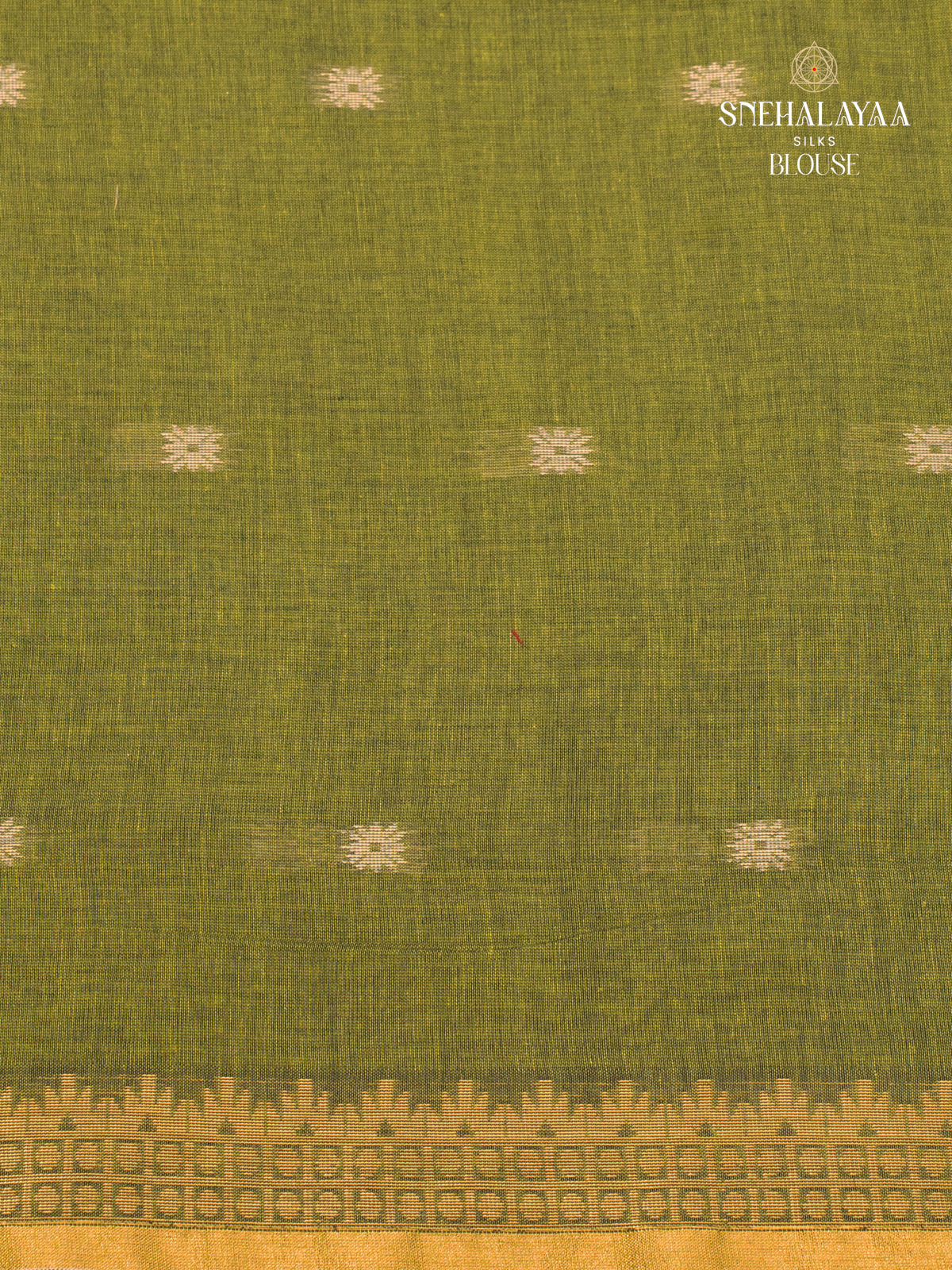 Green Sambalpuri Cotton Saree