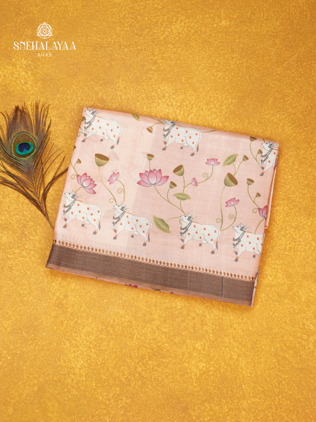 Beige Tussar Saree