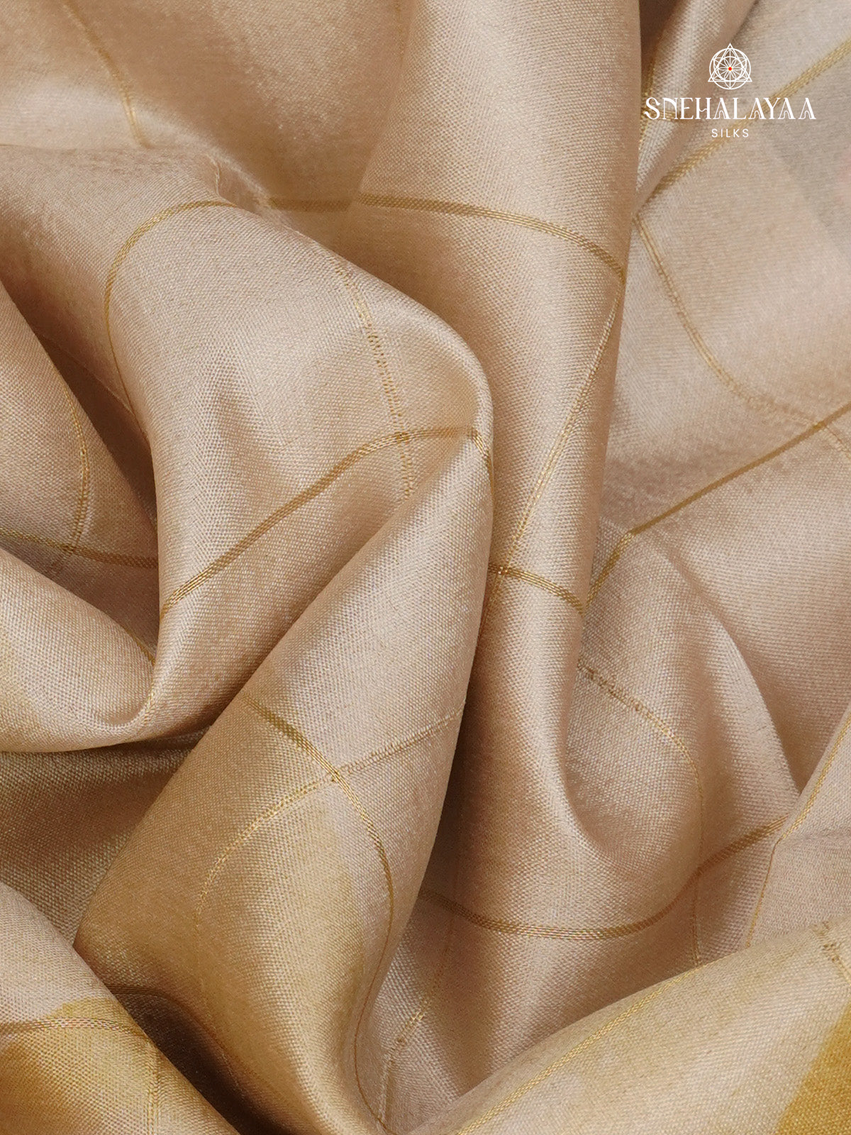 Beige Tussar Saree