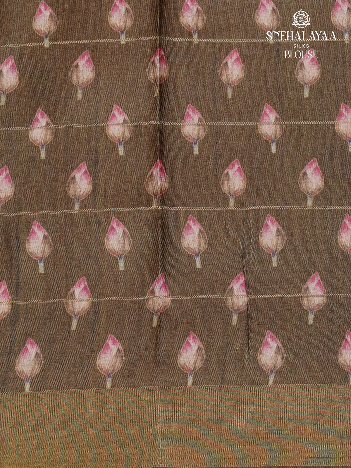 Beige Tussar Saree