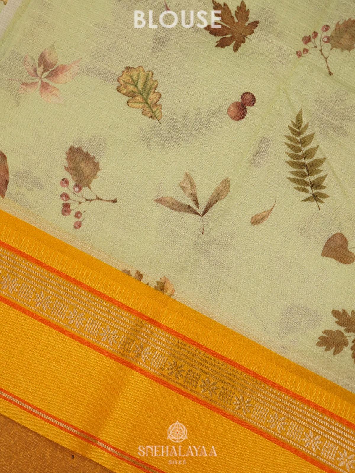 Pale Lime Chanderi Saree