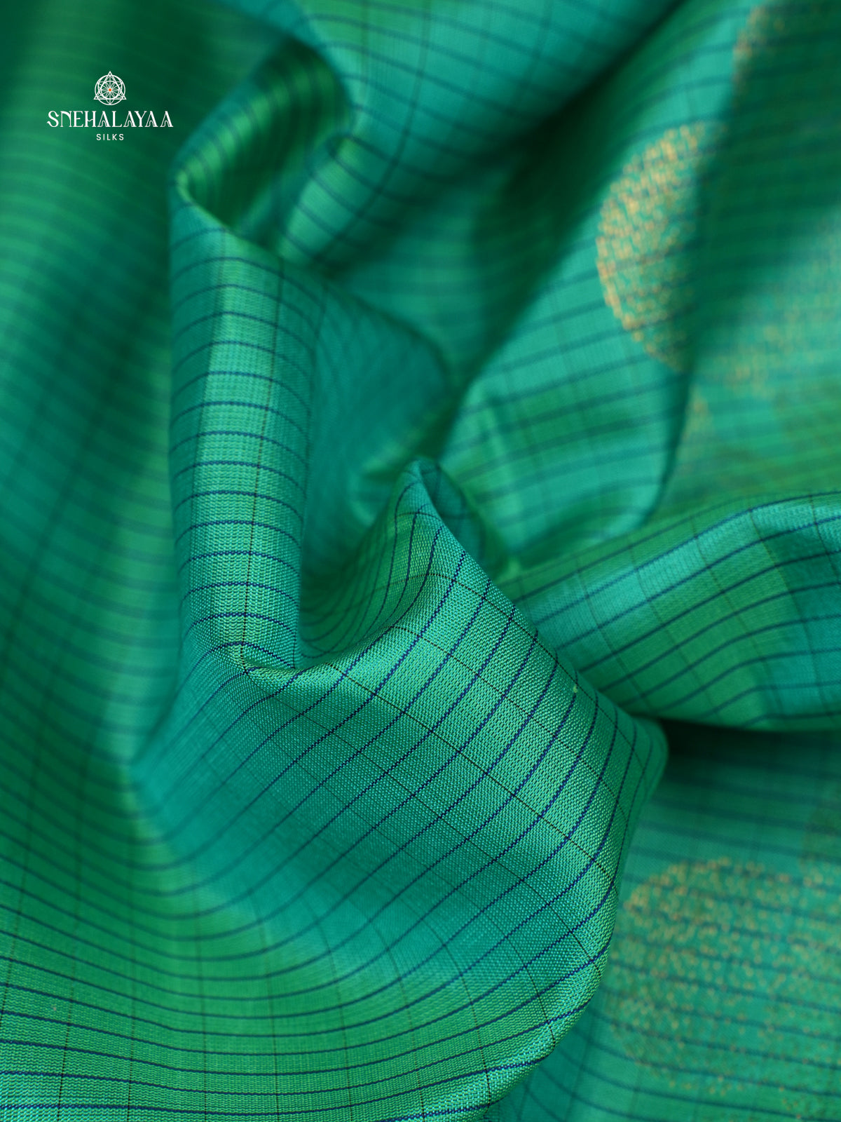 Seafoam Green Borderless Knjivaram Soft Silk Saree
