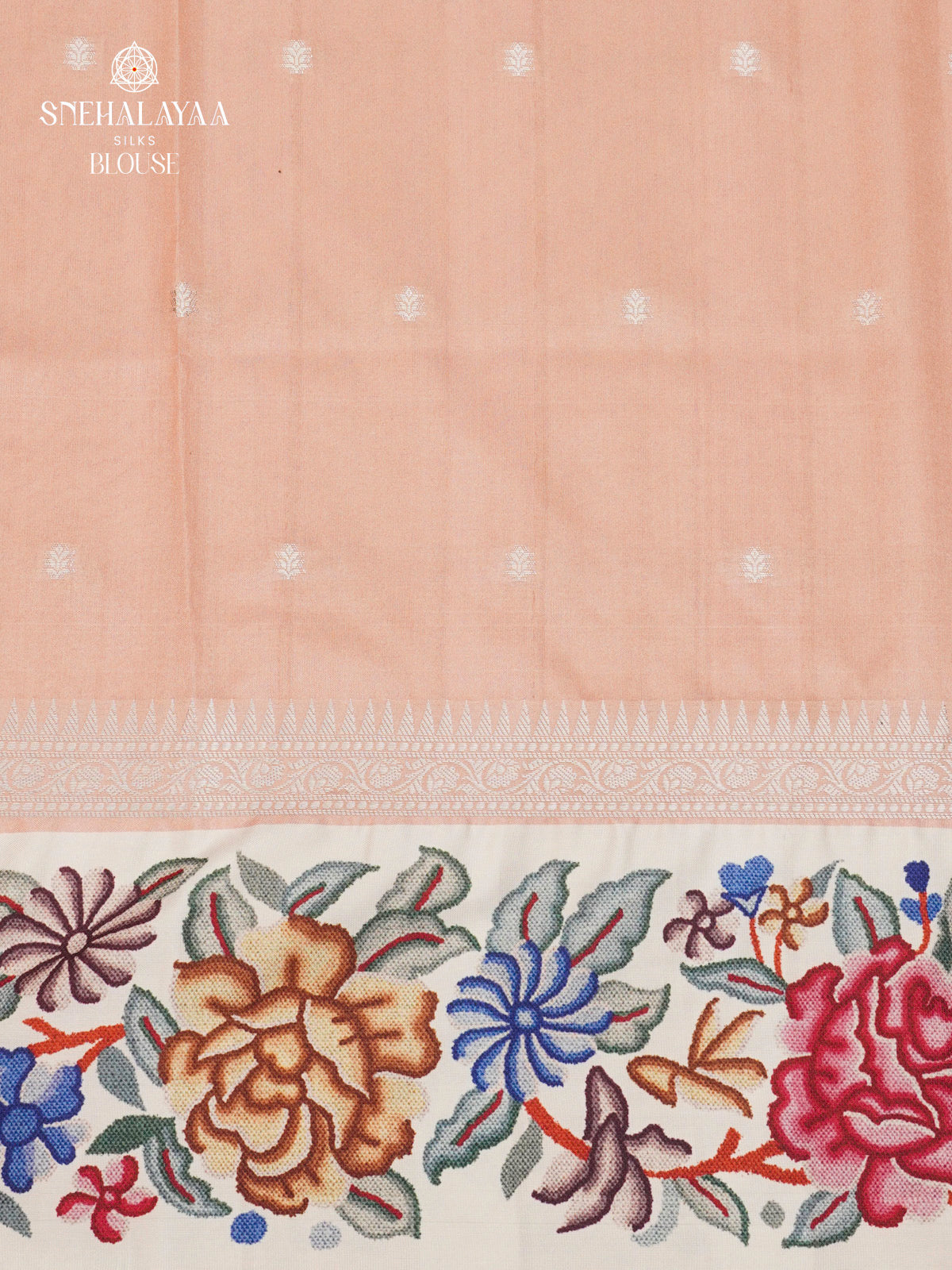 Pale Pink Banaras Dola Silk Saree