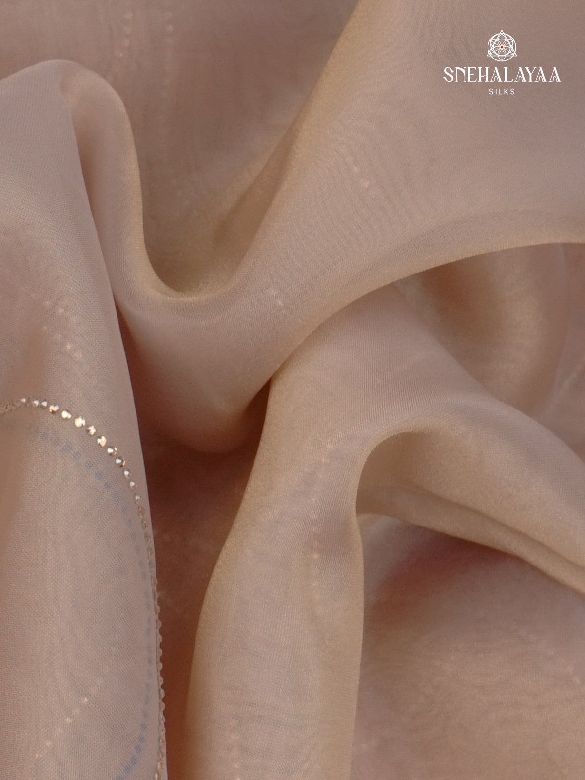 Beige Designer Saree