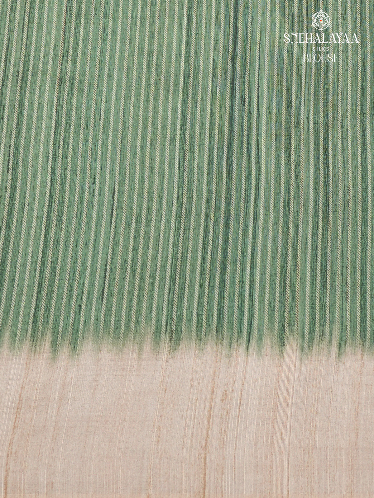 Pastel Green Tussar Embroidery Saree