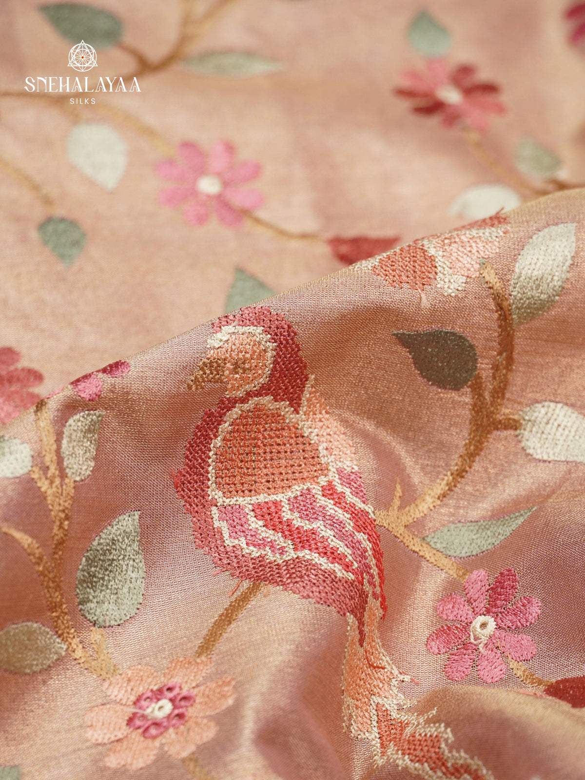 Cream Tissue Embroidery Saree