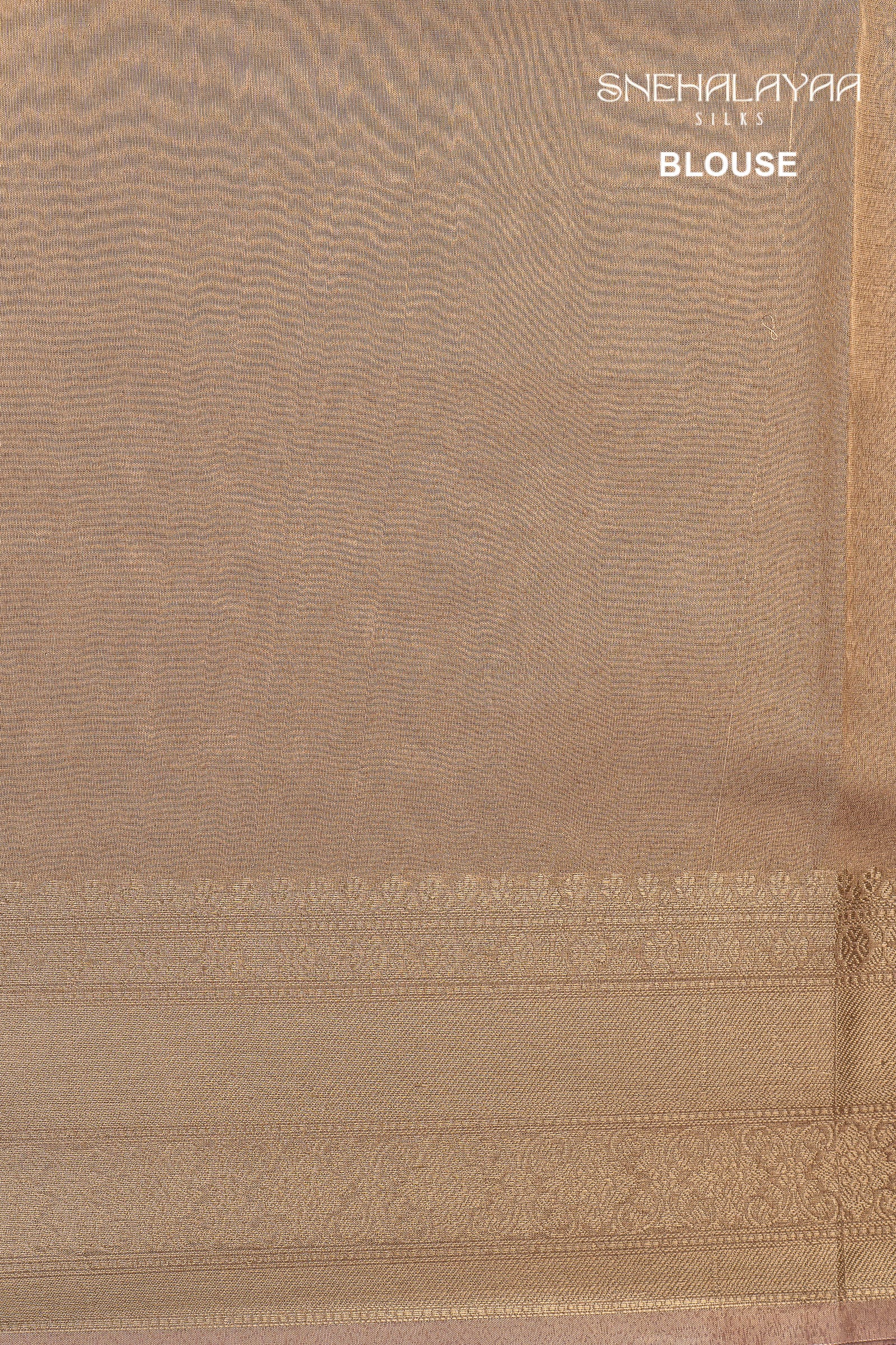 Beige Tissue Embroidery Saree