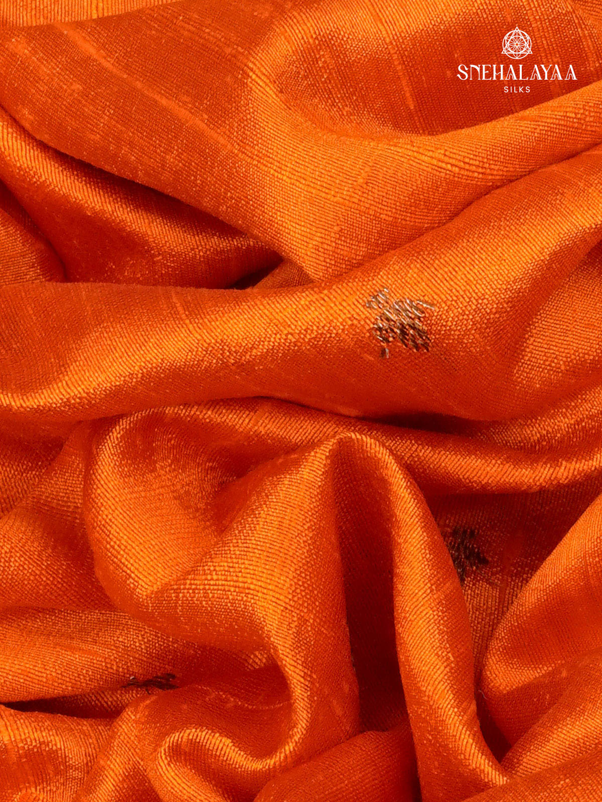 Rust Orange Banaras Raw Silk Saree