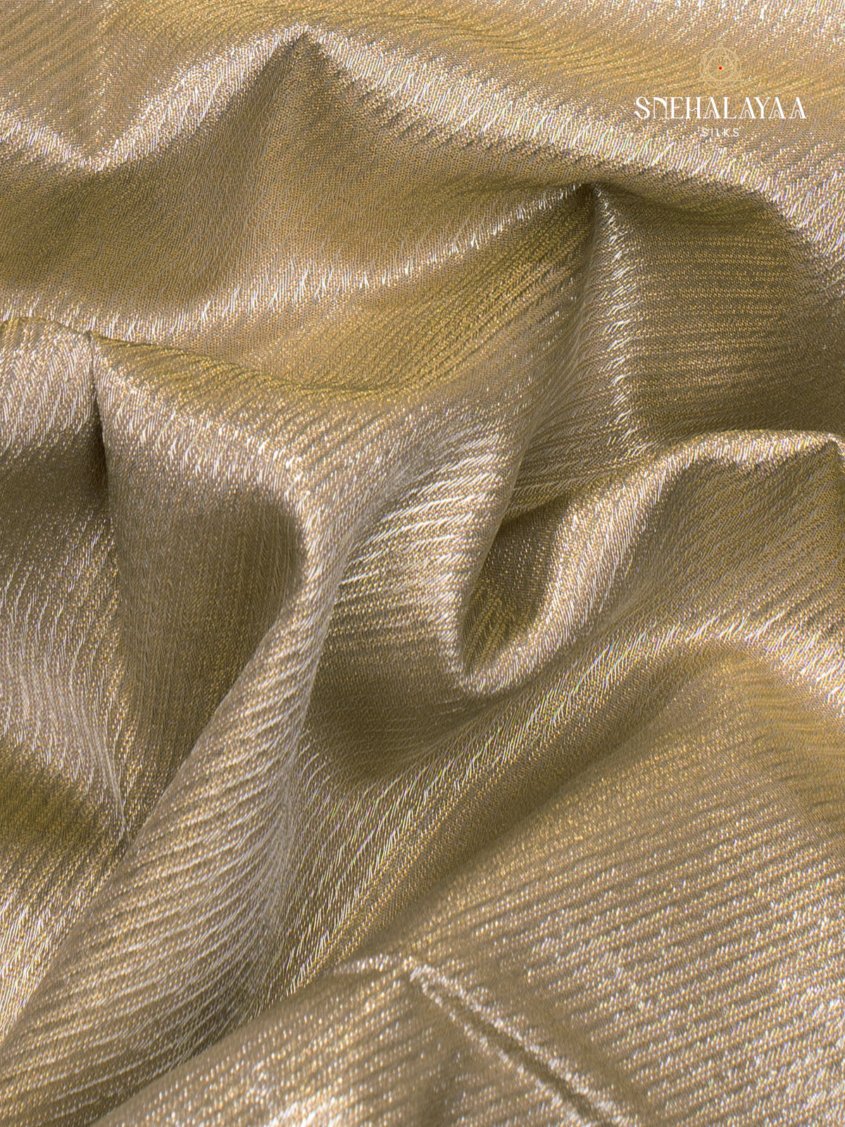 Pale Green Designer Saree