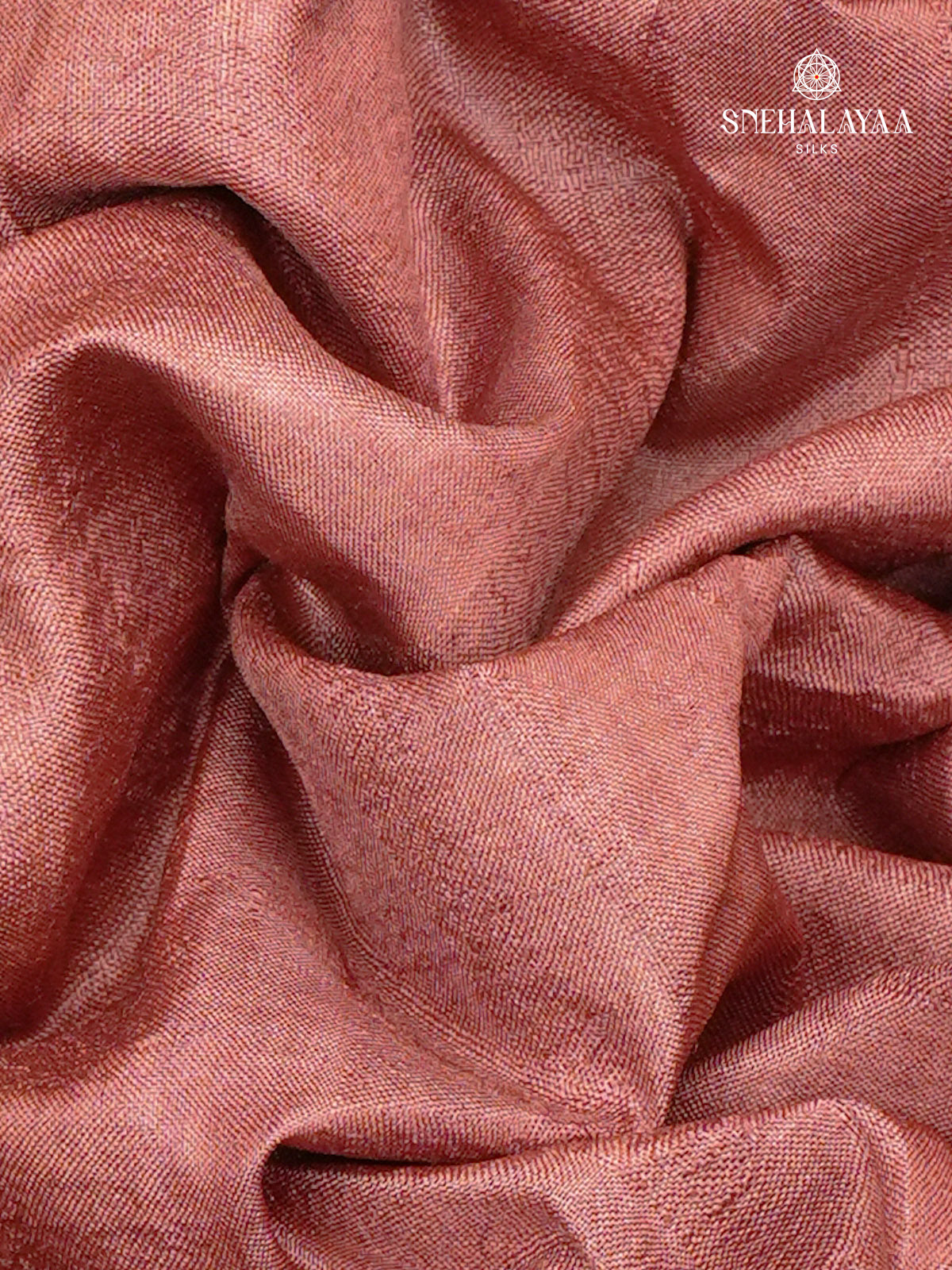 Beige Tussar Silk Saree